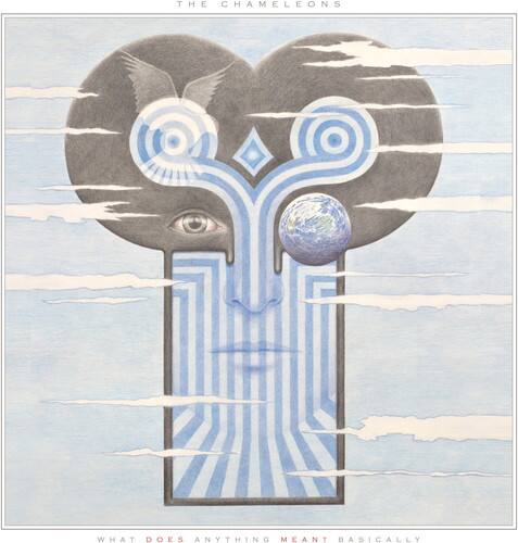 The Chameleons - What Does Anything Mean? Basically - VINYL LP