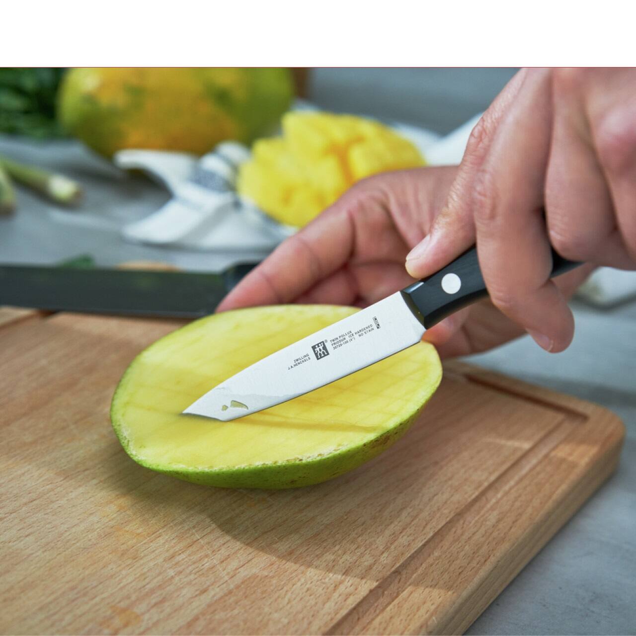 Alt View 3. ZWILLING - ZWILLING TWIN Signature 4-inch Paring Knife - Stainless Steel.