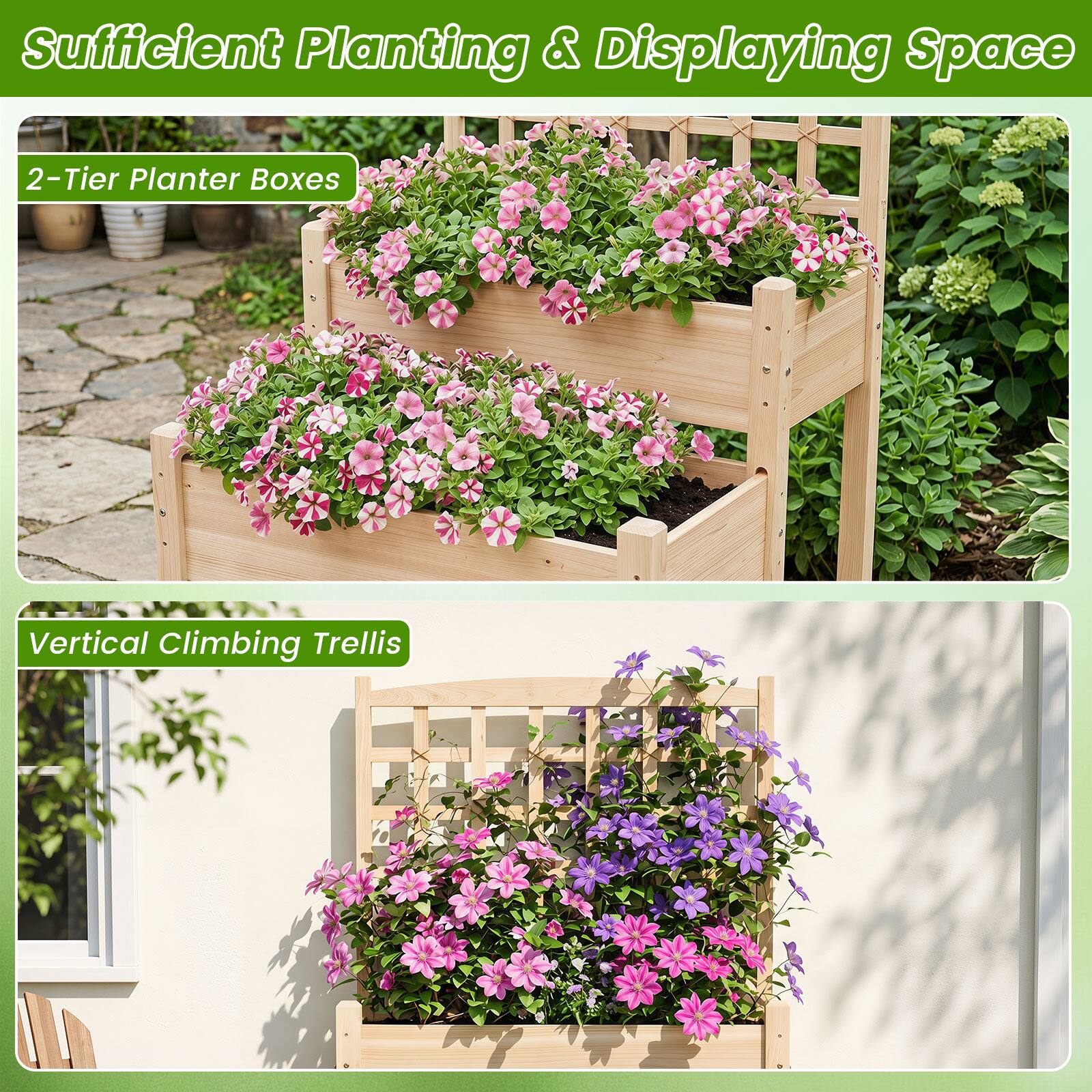 Sufficient Planting & Displaying Space

2-Tier Planter Boxes

Vertical Climbing Trellis