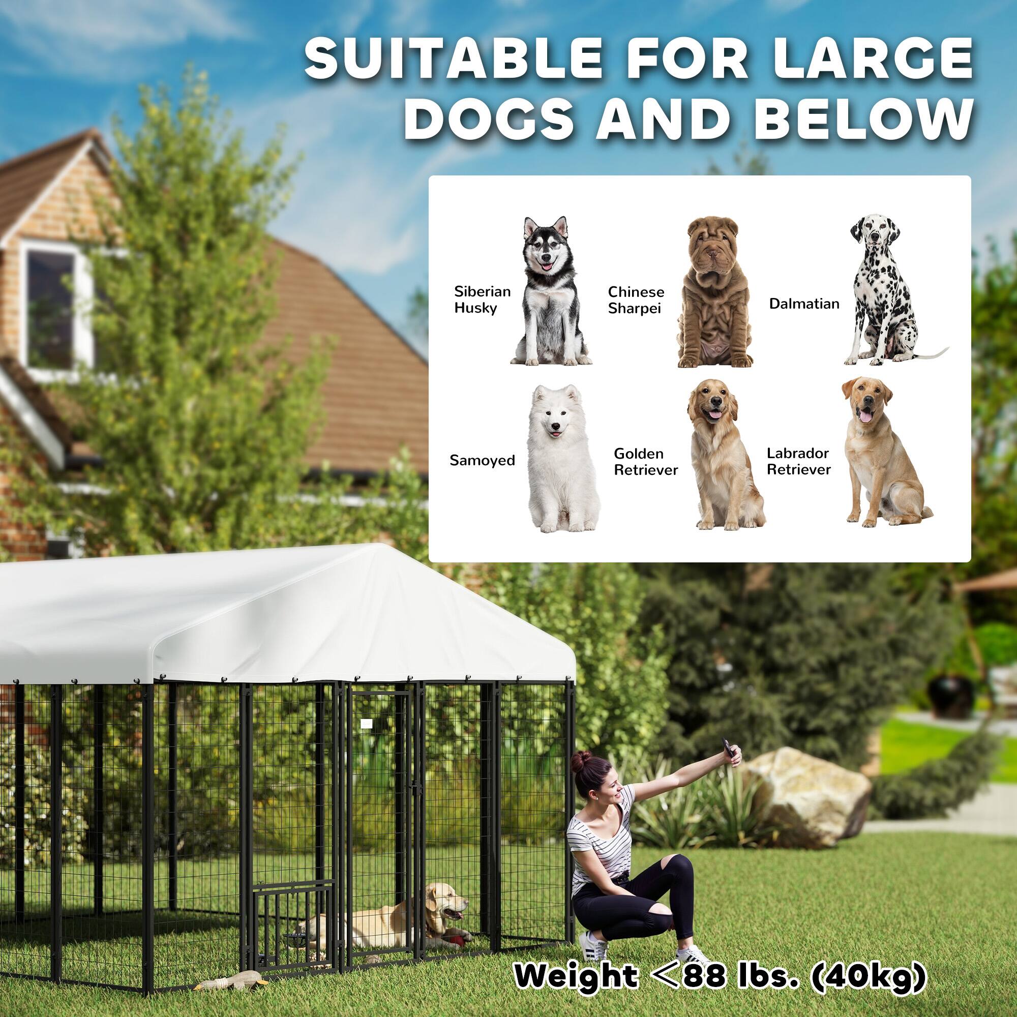 SUITABLE FOR LARGE DOGS AND BELOW

Siberian Husky  
Chinese Sharpei  
Dalmatian  
Samoyed  
Golden Retriever  
Labrador Retriever  

Weight <88 lbs. (40kg)