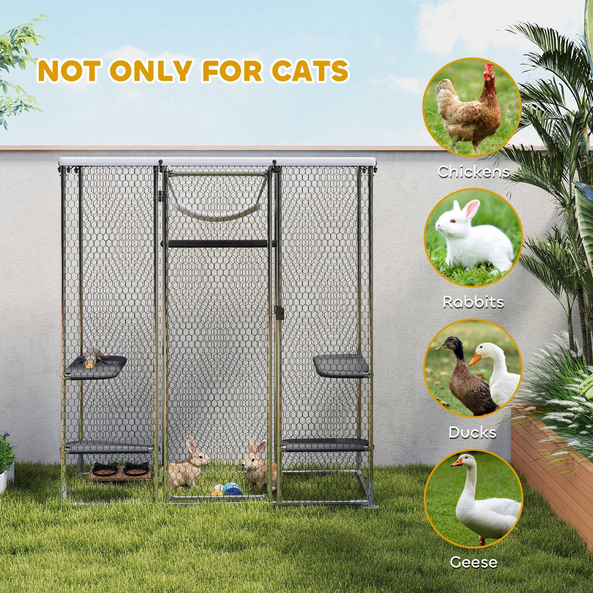 NOT ONLY FOR CATS

- Chickens
- Rabbits
- Ducks
- Geese