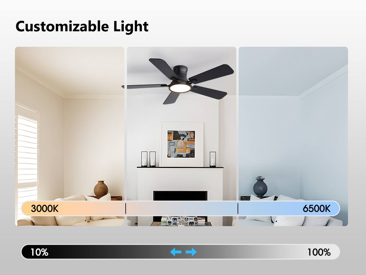 Customizable Light

3000K 6500K

10% 100%