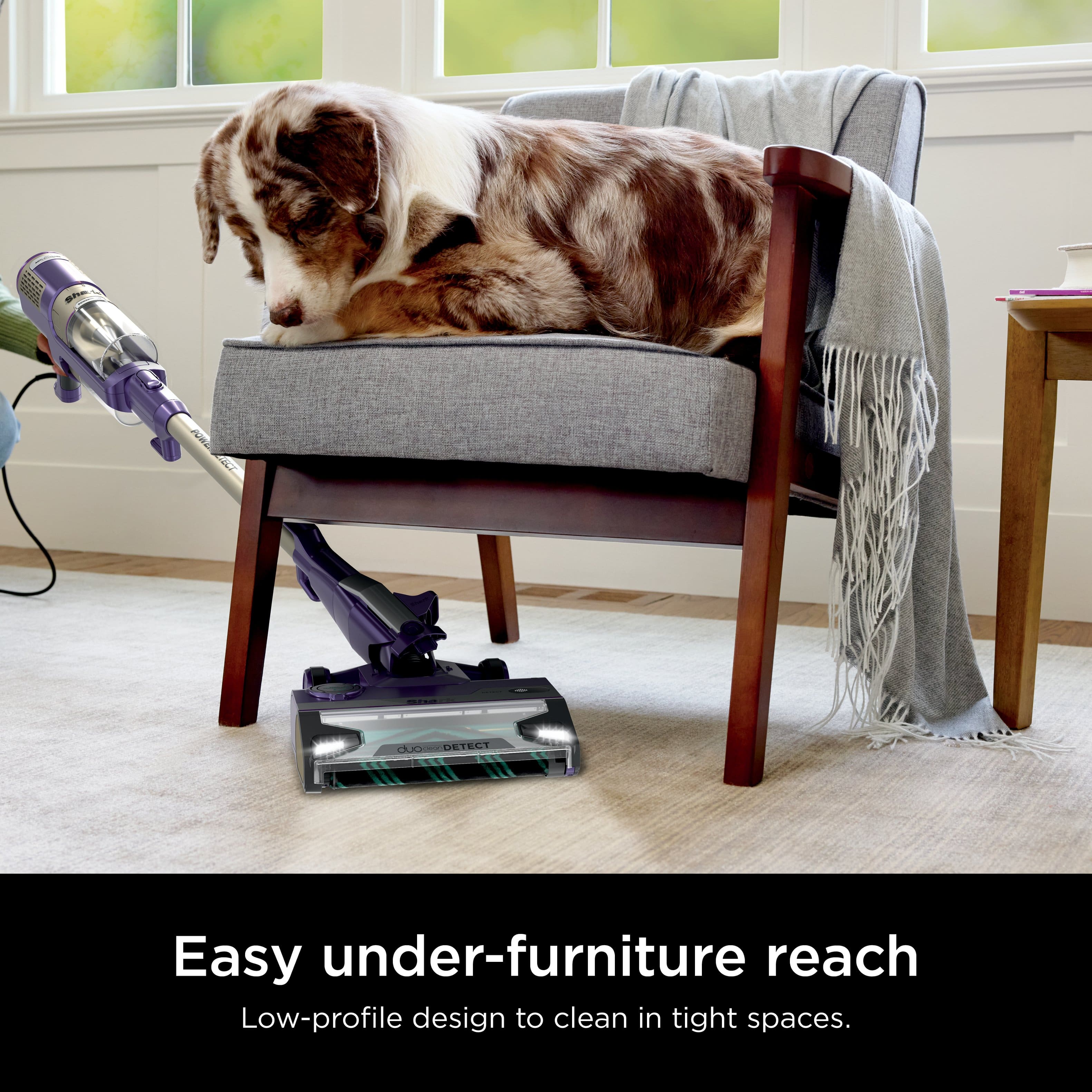 BL 2AL2 duo - DETECI Easy under-furniture reach. Low-profile design to clean in tight spaces.