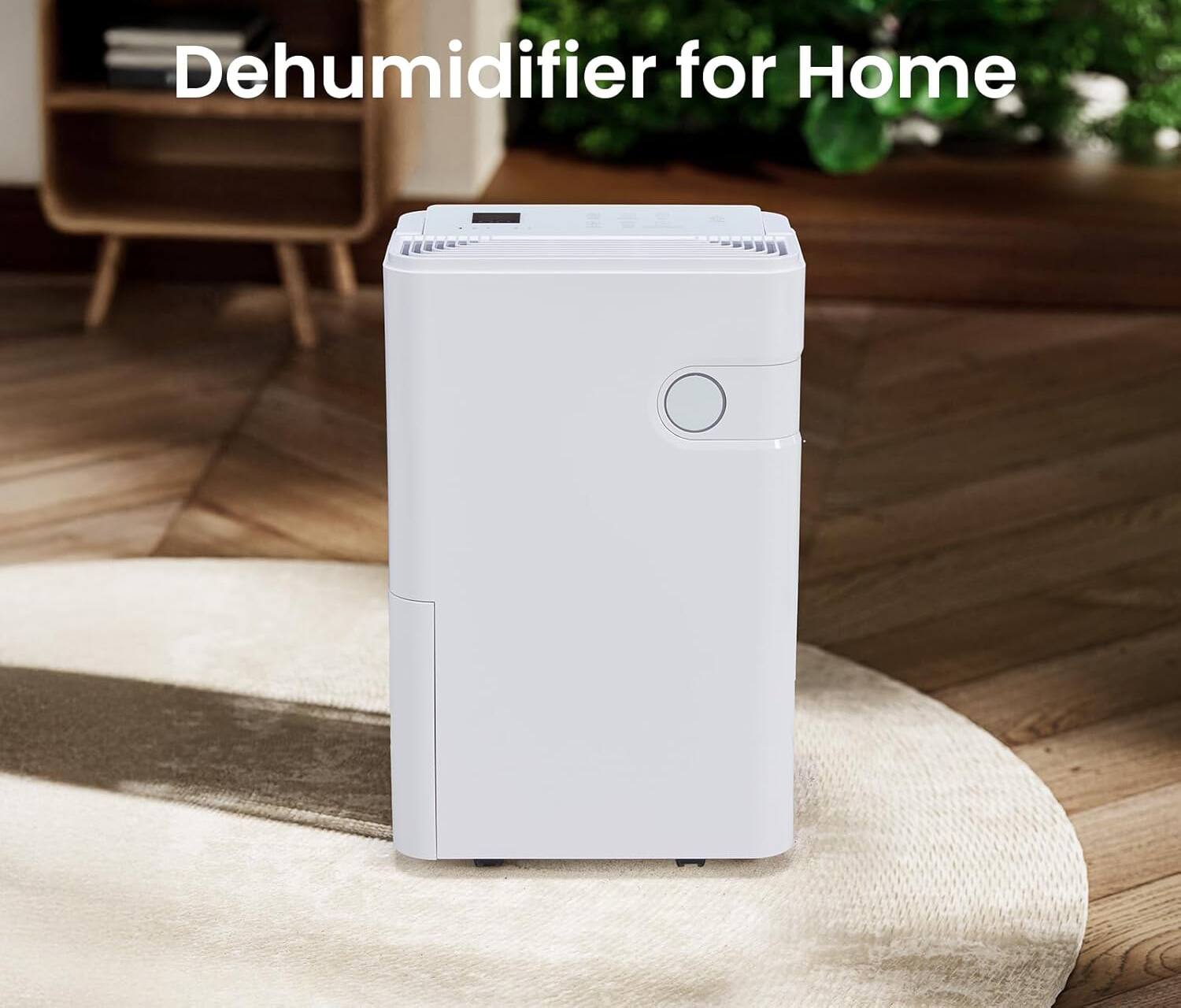 Dehumidifier for Home