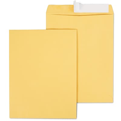 "Staples - EasyClose Kraft Catalog Envelopes, 10""L x 13""H, 100/Box (381969/19023) - Brown" price history on PriceWatchPro