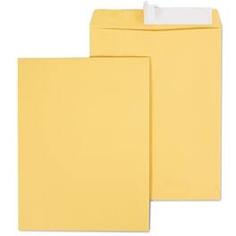 Staples - EasyClose Kraft Catalog Envelopes, 10"L x 13"H, 100/Box - Brown