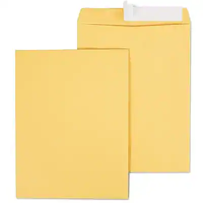 Front. Staples - EasyClose Kraft Catalog Envelopes, 10"L x 13"H, 100/Box - Brown.