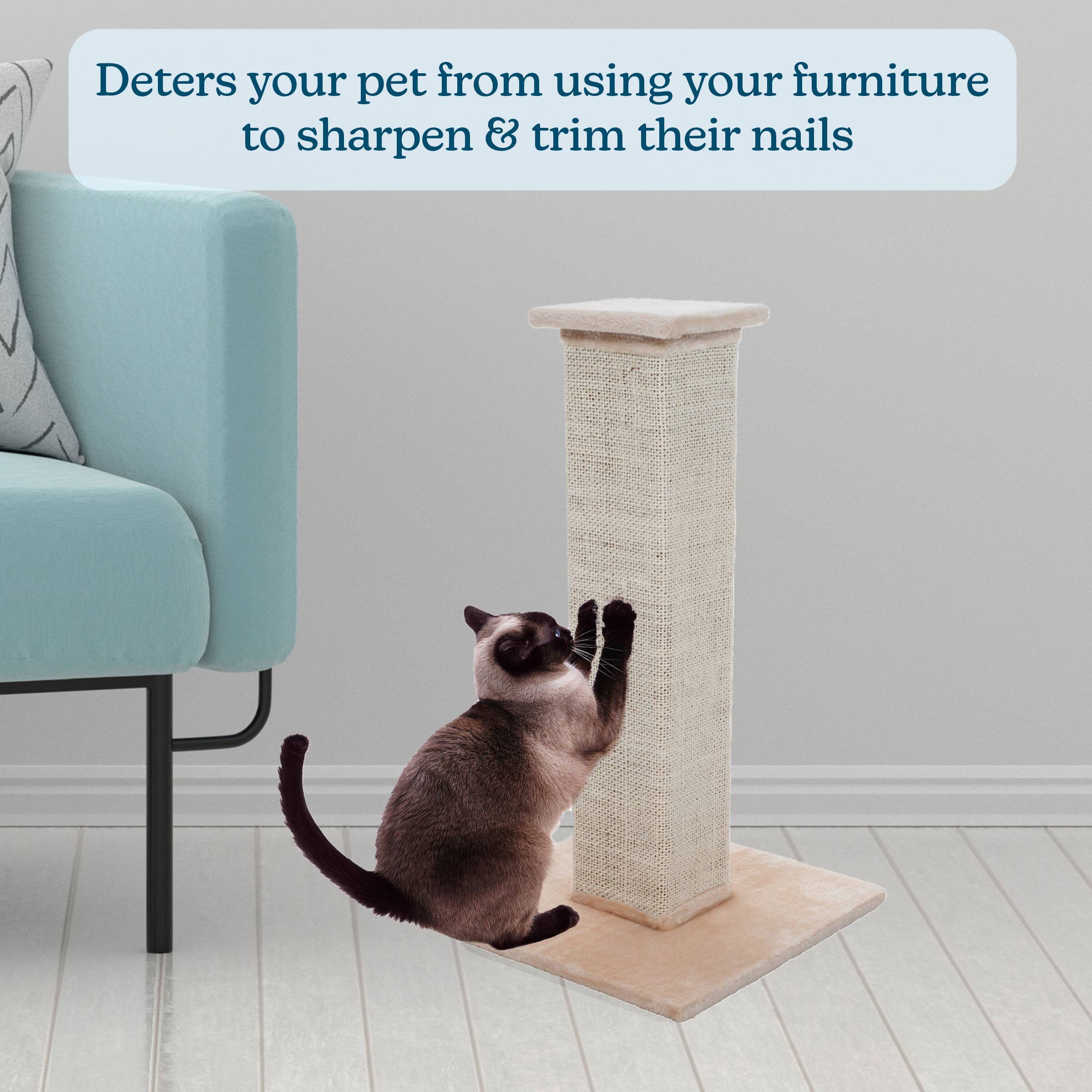 Deters your pet from using your furniture to sharpen & trim their nails