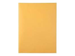 Quality Park - Redi-Strip Kraft Catalog Envelopes, 9" x 12", 100/Box - Brown Kraft