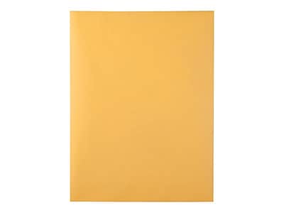 Front. Quality Park - Redi-Strip Kraft Catalog Envelopes, 9" x 12", 100/Box - Brown Kraft.