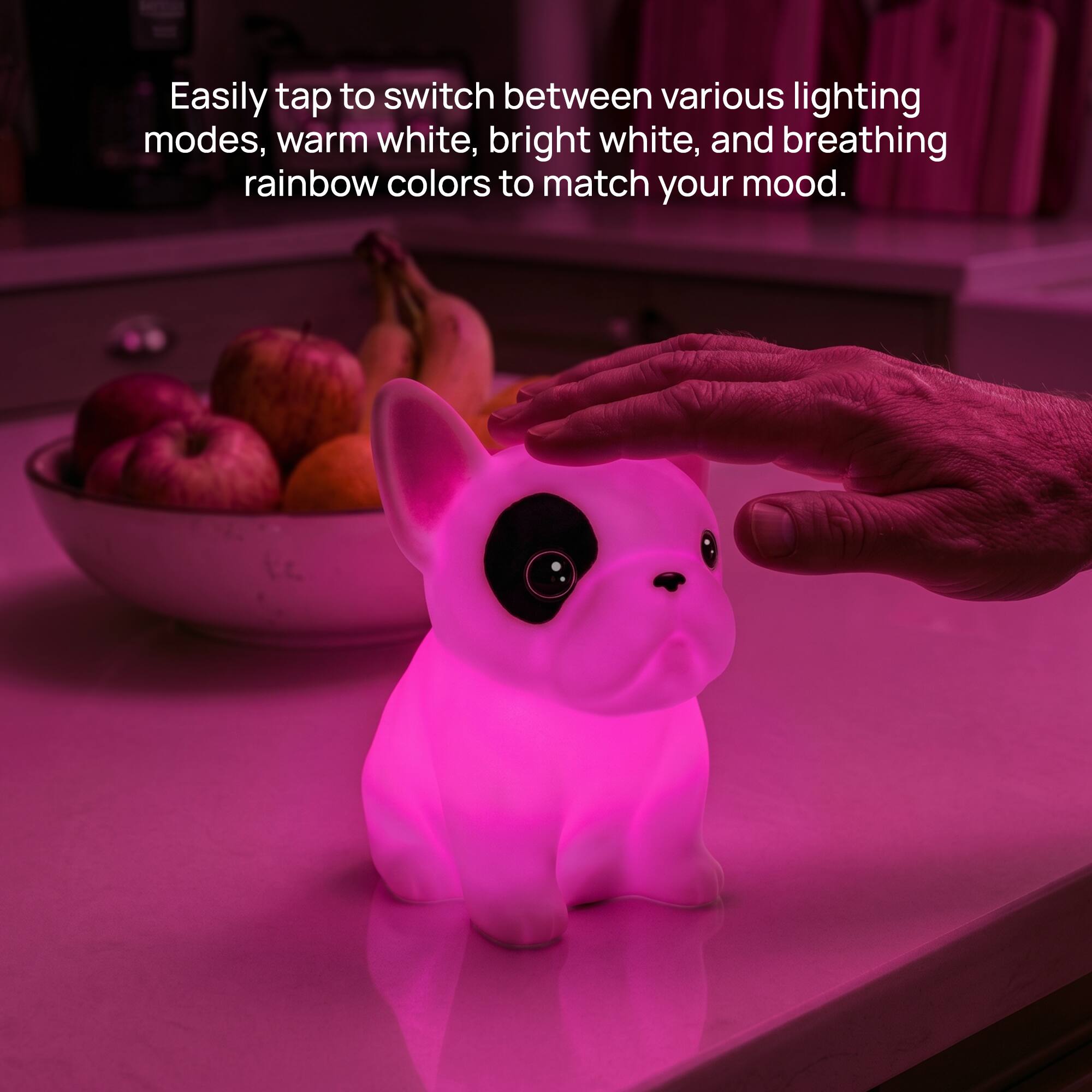 Xtreme Lit Soft Touch French Bulldog LED Night Light – Tap Control RGB ...