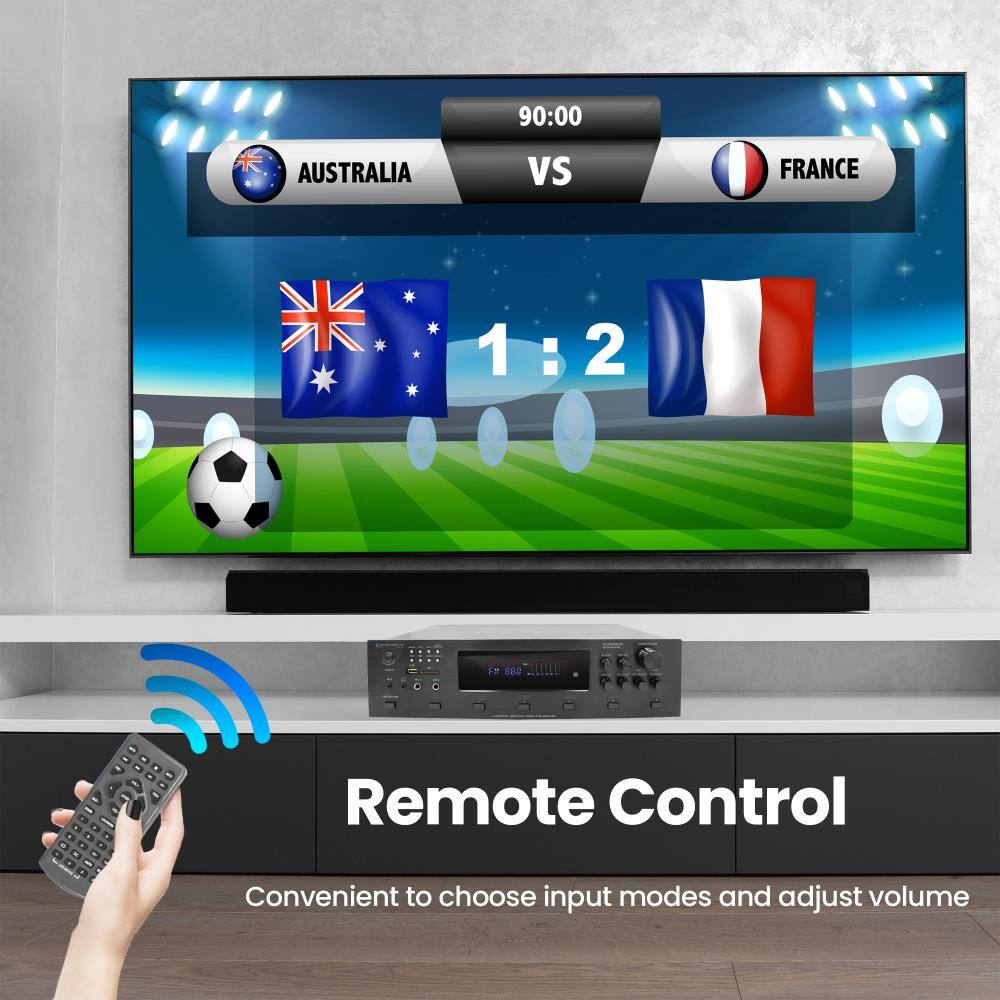 90:00  
AUSTRALIA  
VS  
FRANCE  
1:2  

Remote Control  
Convenient to choose input modes and adjust volume