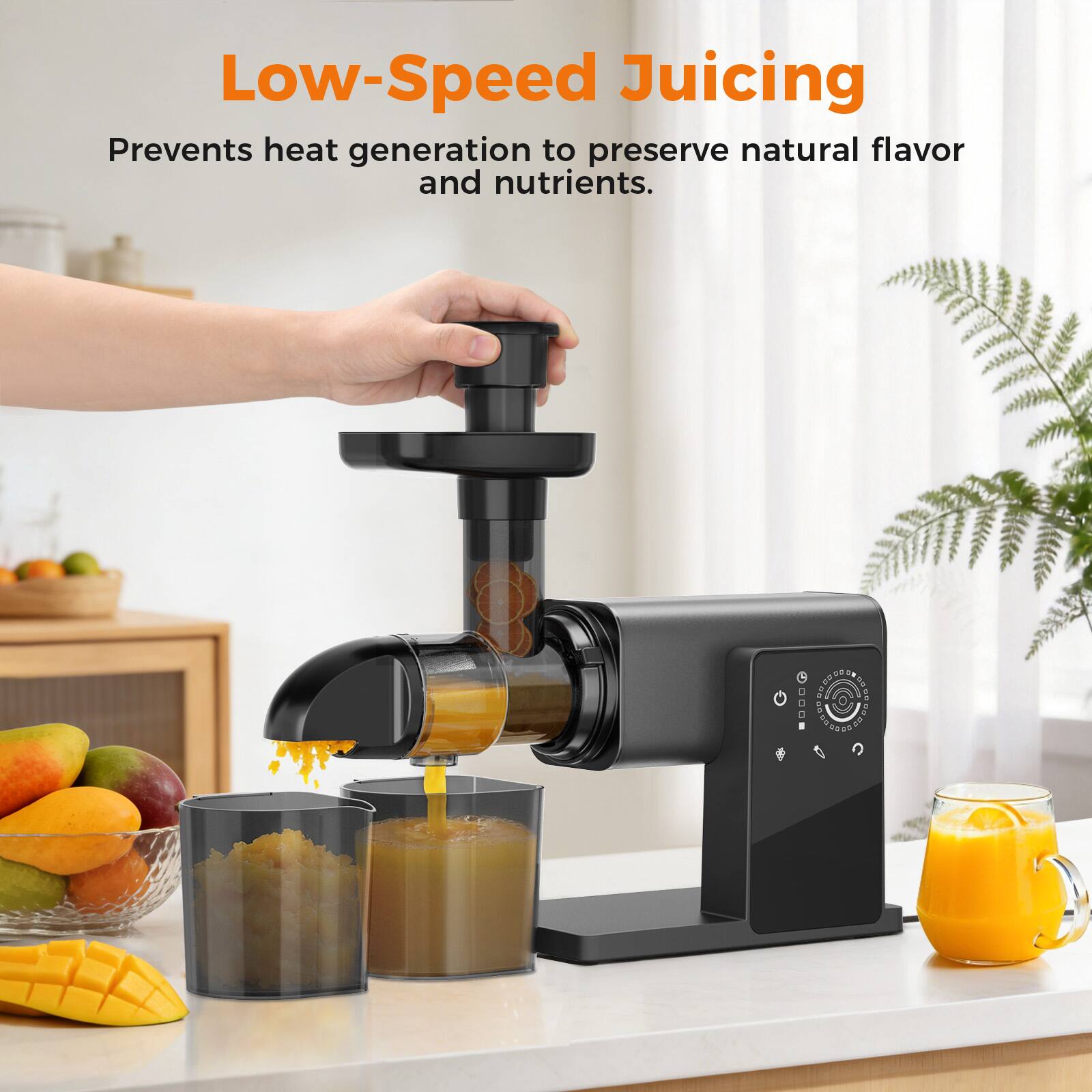 Low-Speed Juicing  
Prevents heat generation to preserve natural flavor and nutrients.