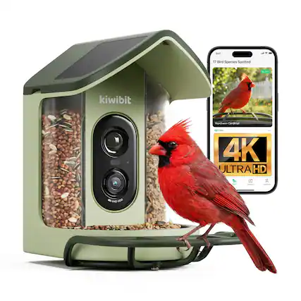 17 Bird Species Spotted + SEU kiwibit Northern Cardinal Twit 4K ULTRA HD