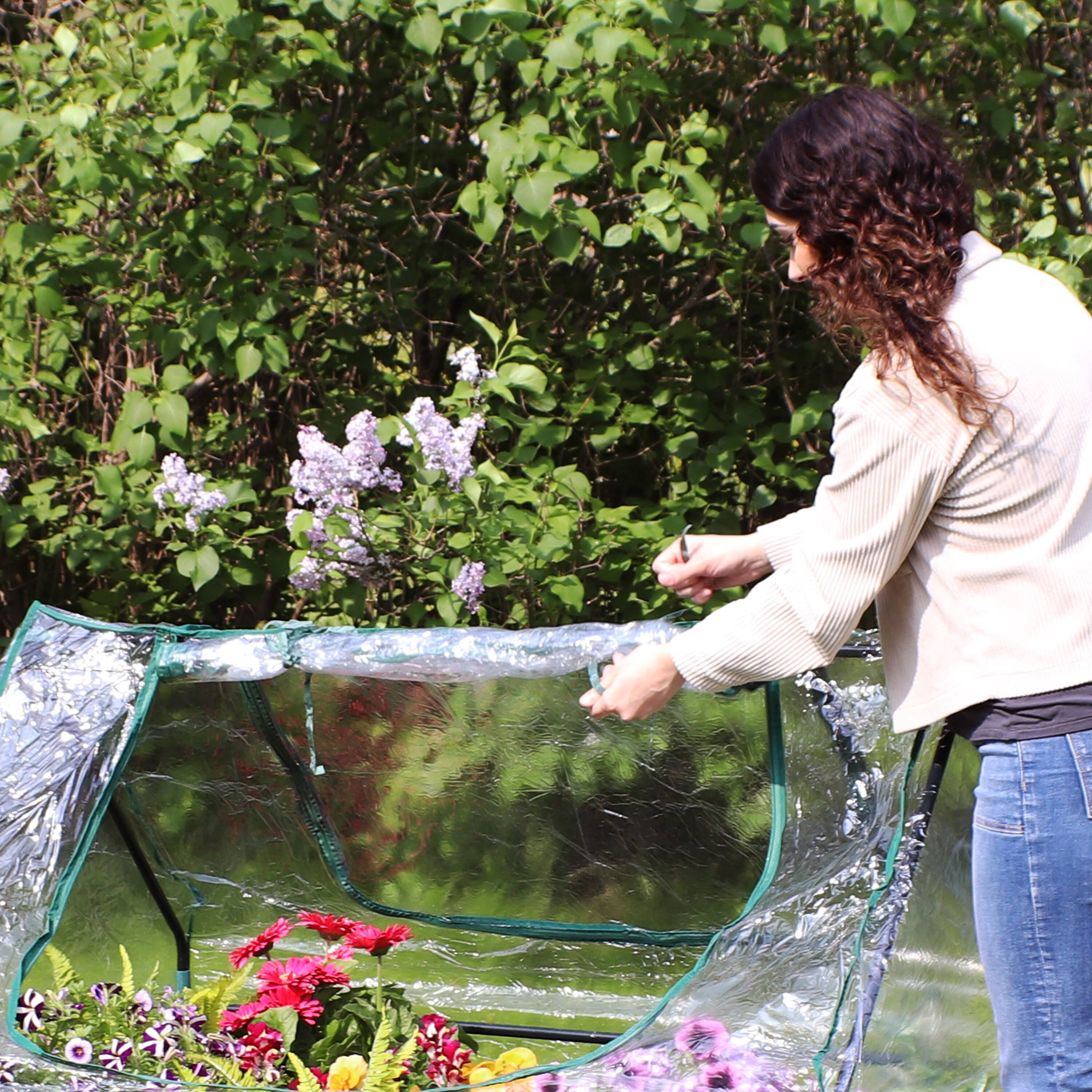 Alt View 4. Sunnydaze - 4 x 3 ft Iron PVC Panel Mini Greenhouse with 2 Doors - Clear.