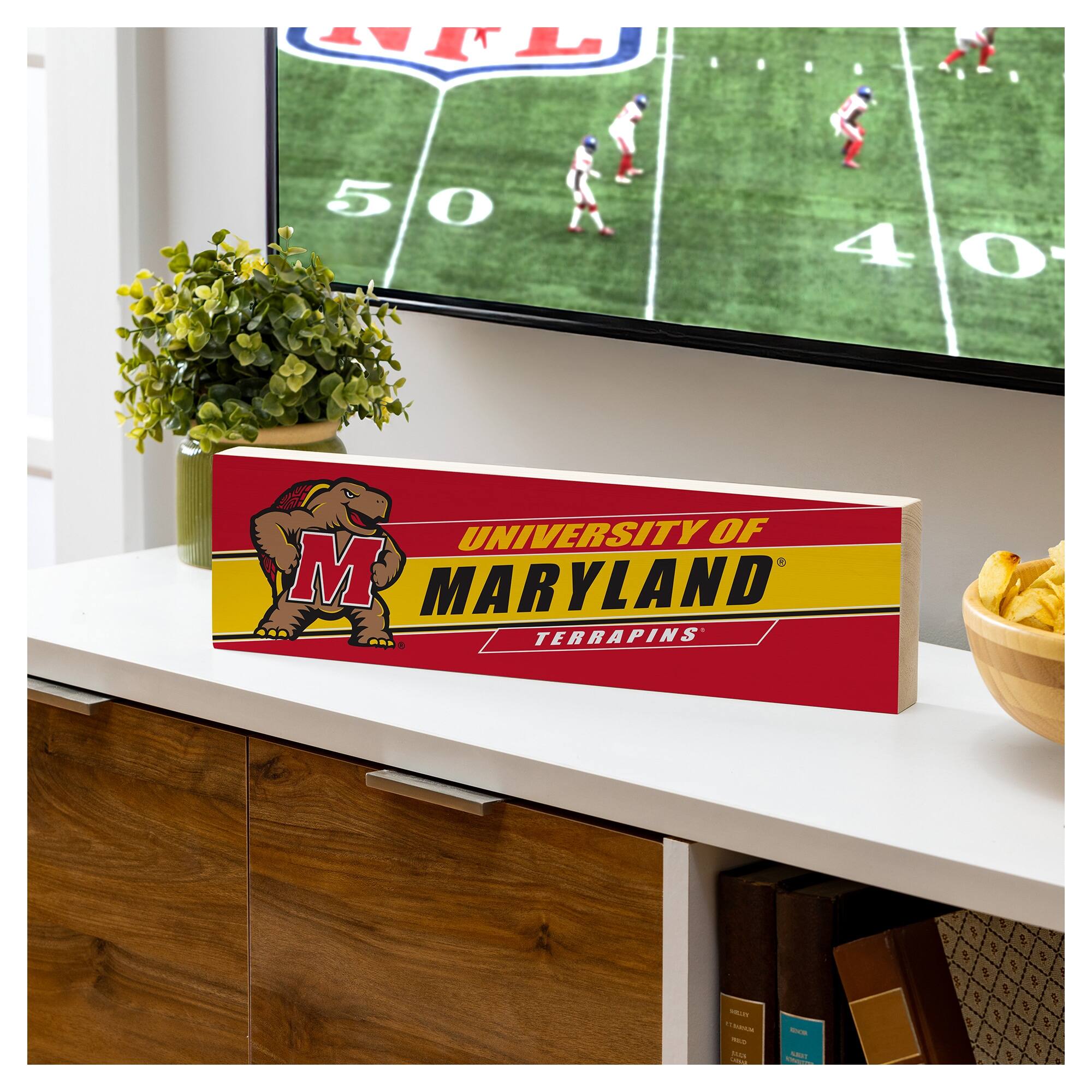 UNIVERSITY OF MARYLAND  
TERRAPINS