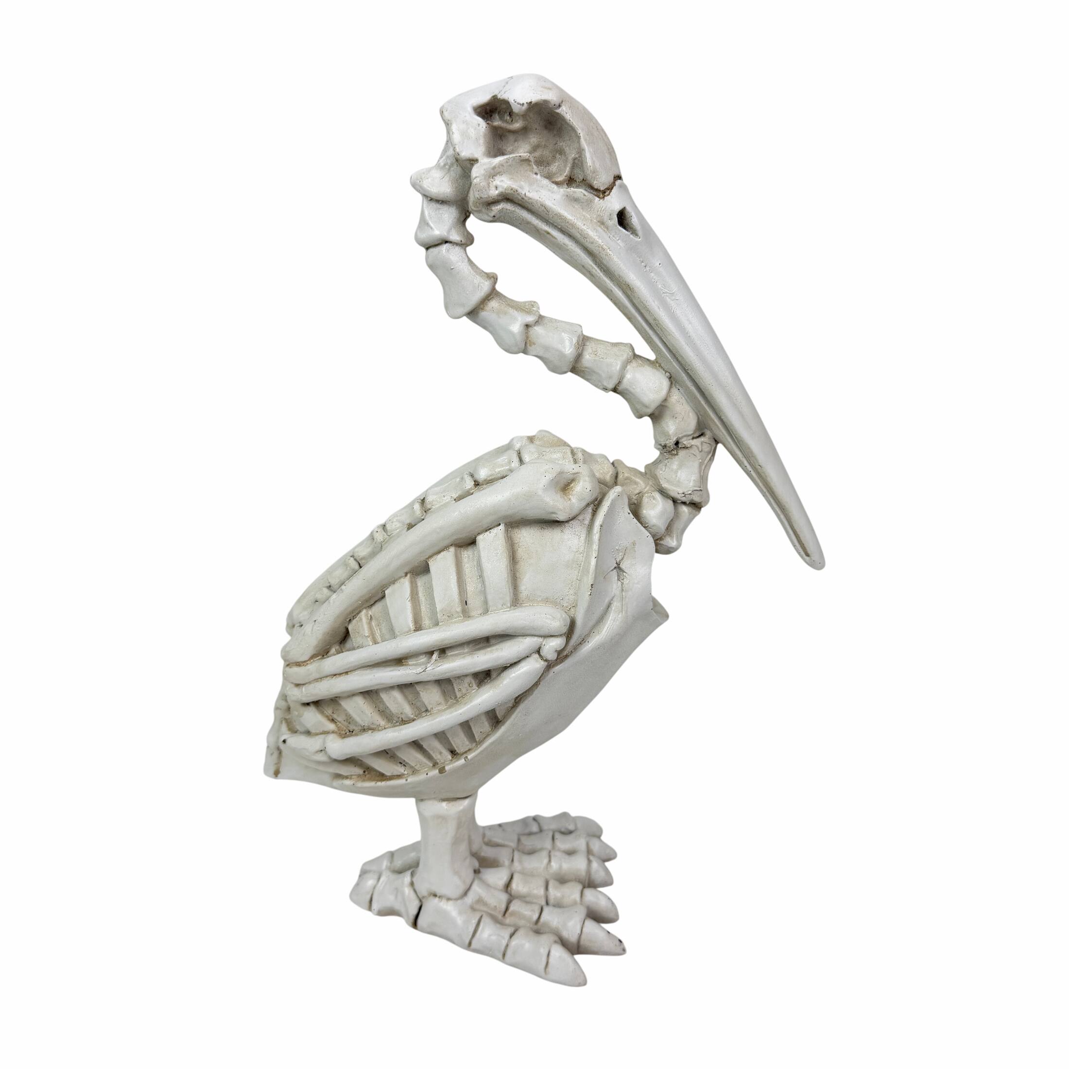 Alt View 7. Fancy That - Pelican Skeleton Statue White Distressed Resin Gothic Tabletop Decor 11.5 Inch - White.