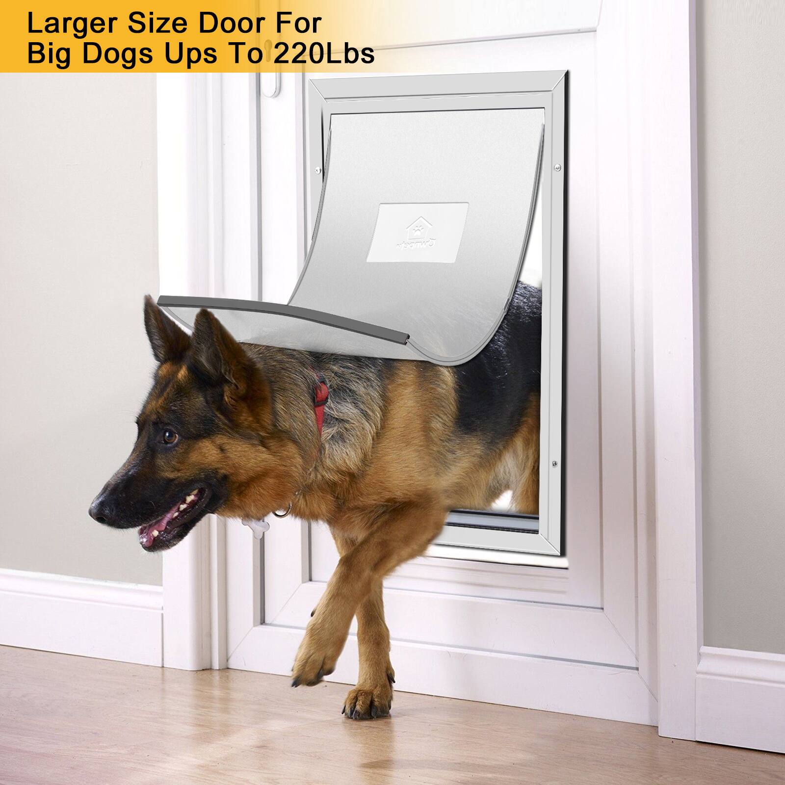 Larger Size Door For Big Dogs Up To 220Lbs