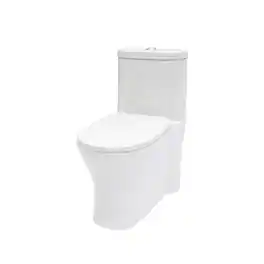Loheer - One Piece Toilet, Ceramic Bathroom Toilet, Twelve Inch Rough In Dual Flush - White
