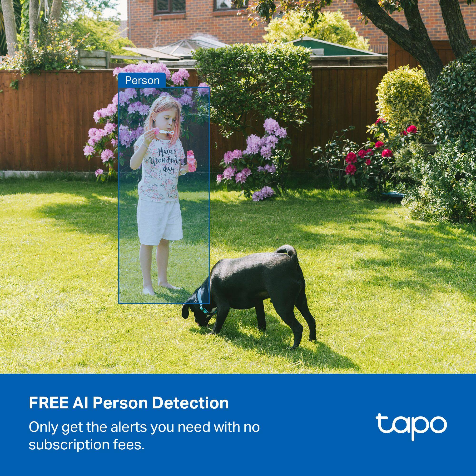 Person Ono Hary Wondor d4y FREE AI Person Detection Only get the alerts you need with no subscription fees. tapo