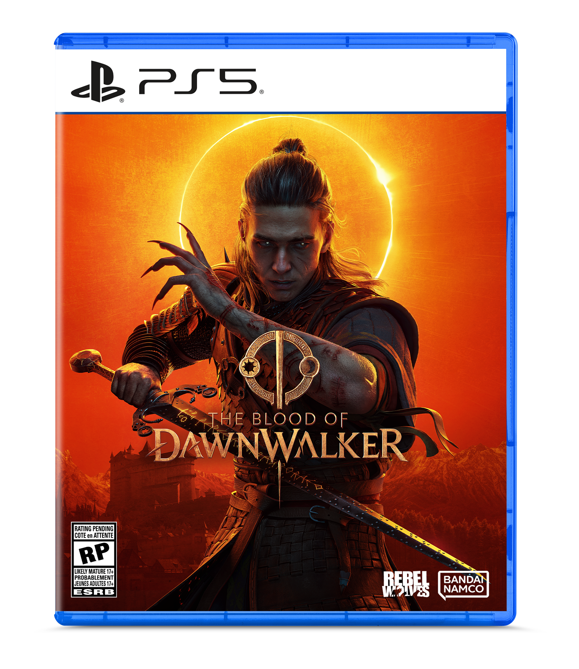 Role Playing Video Games