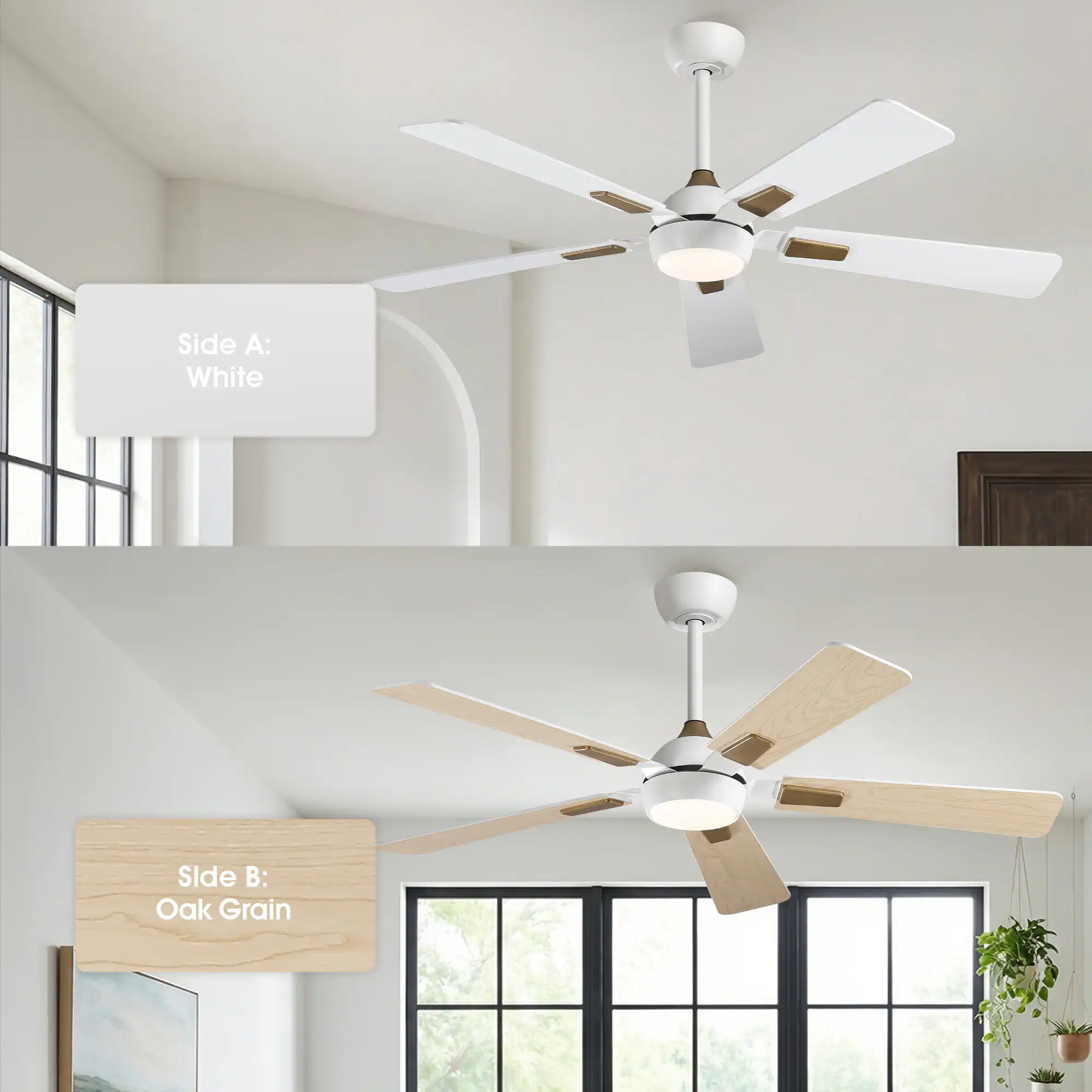 Side A: White  
Side B: Oak Grain