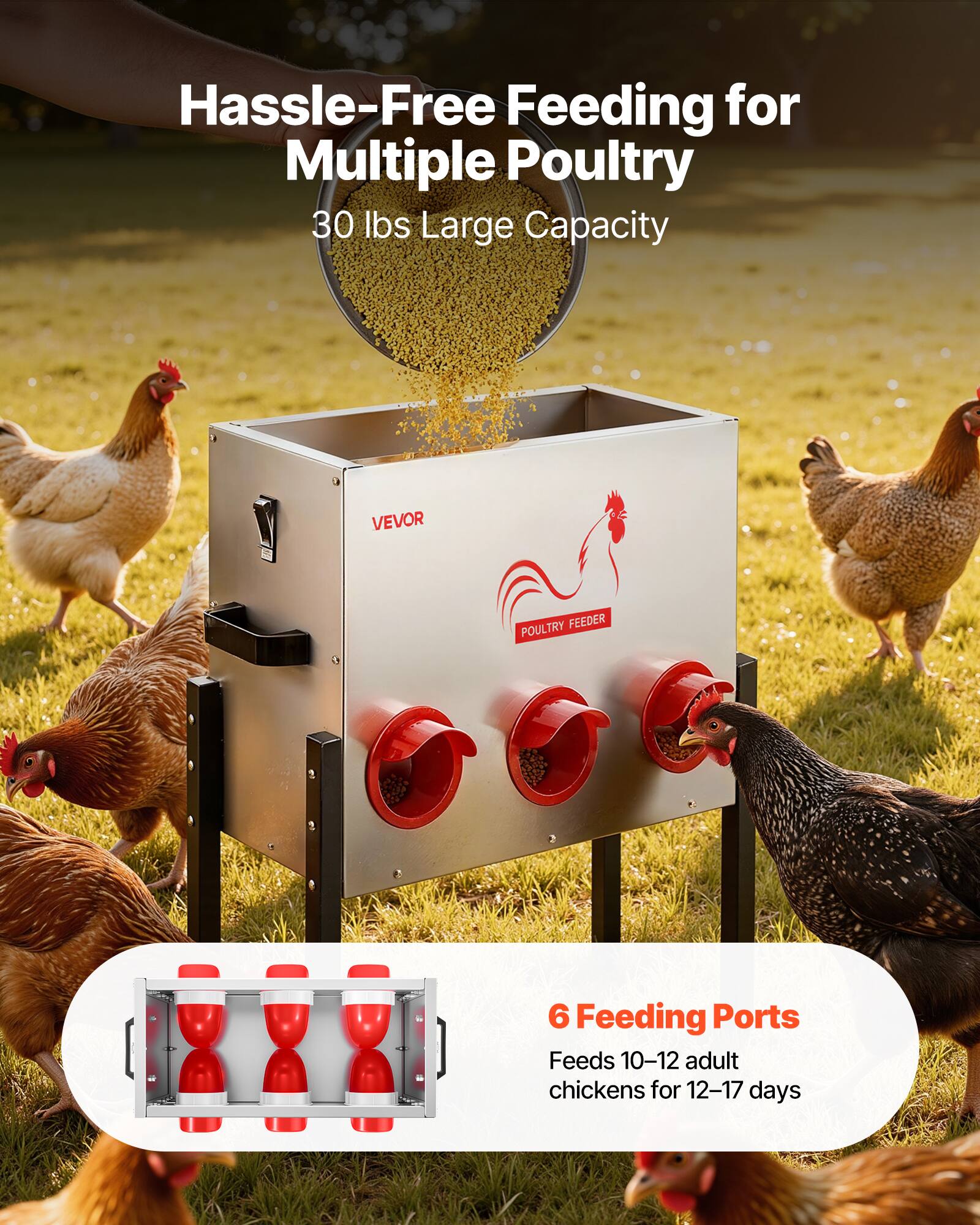 Hassle-Free Feeding for Multiple Poultry  
30 lbs Large Capacity  

VEVOR POULTRY FEEDER  

6 Feeding Ports  
Feeds 10-12 adult chickens for 12-17 days