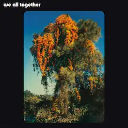 We All Together - We All Together - VINYL LP