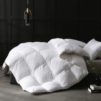 Front. APSMILE - APSMILE King Size Heavyweight Feathers Down Poly Cotton Duvet Comforter, White - White.