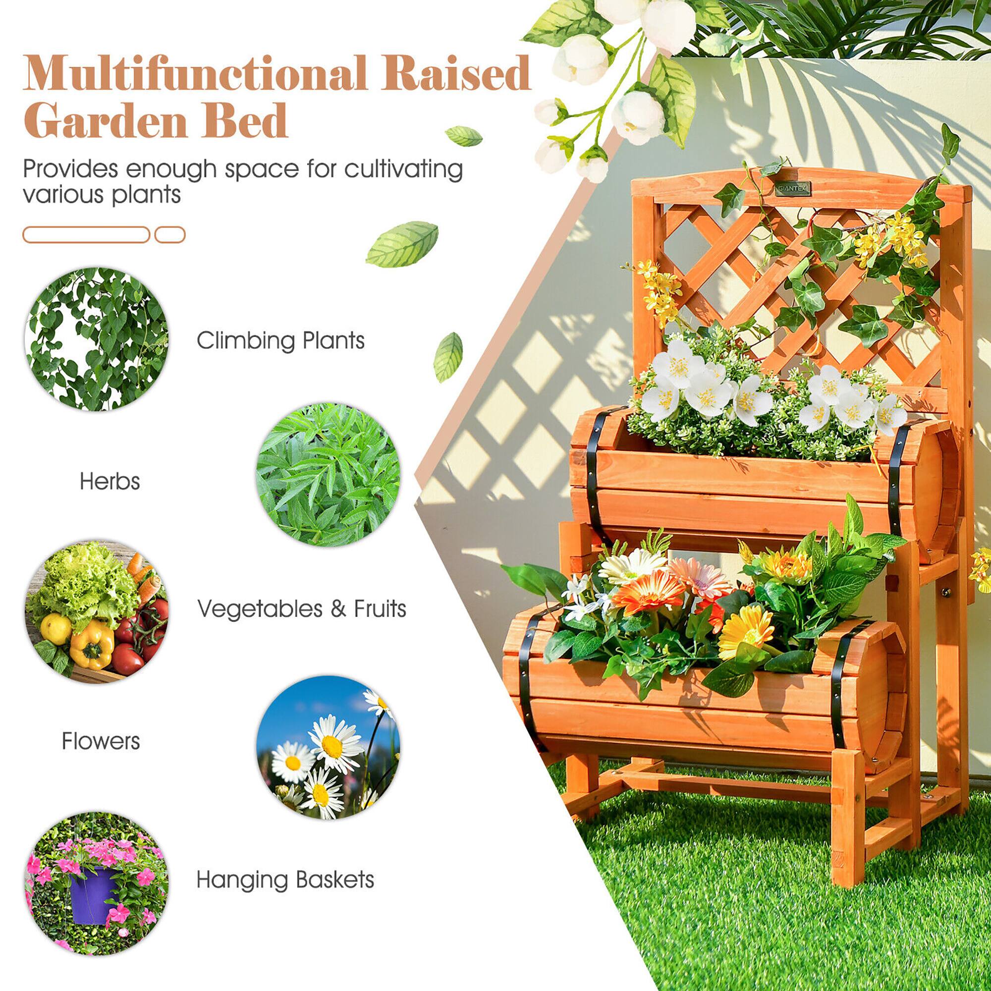 Multifunctional Raised Garden Bed  
Provides enough space for cultivating various plants  

- Climbing Plants  
- Herbs  
- Vegetables & Fruits  
- Flowers  
- Hanging Baskets