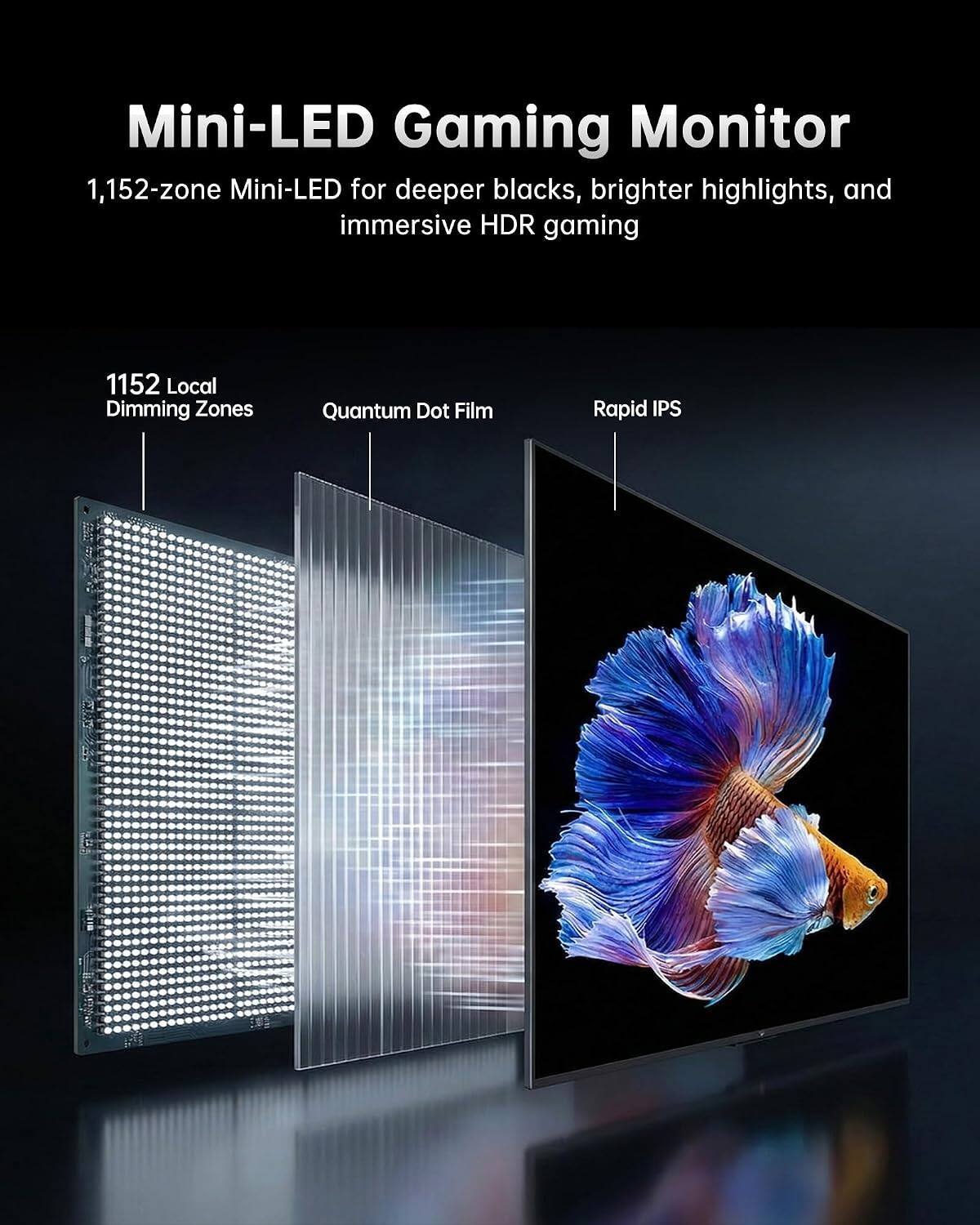 Mini-LED Gaming Monitor  
1,152-zone Mini-LED for deeper blacks, brighter highlights, and immersive HDR gaming  
1152 Local Dimming Zones  
Quantum Dot Film  
Rapid IPS