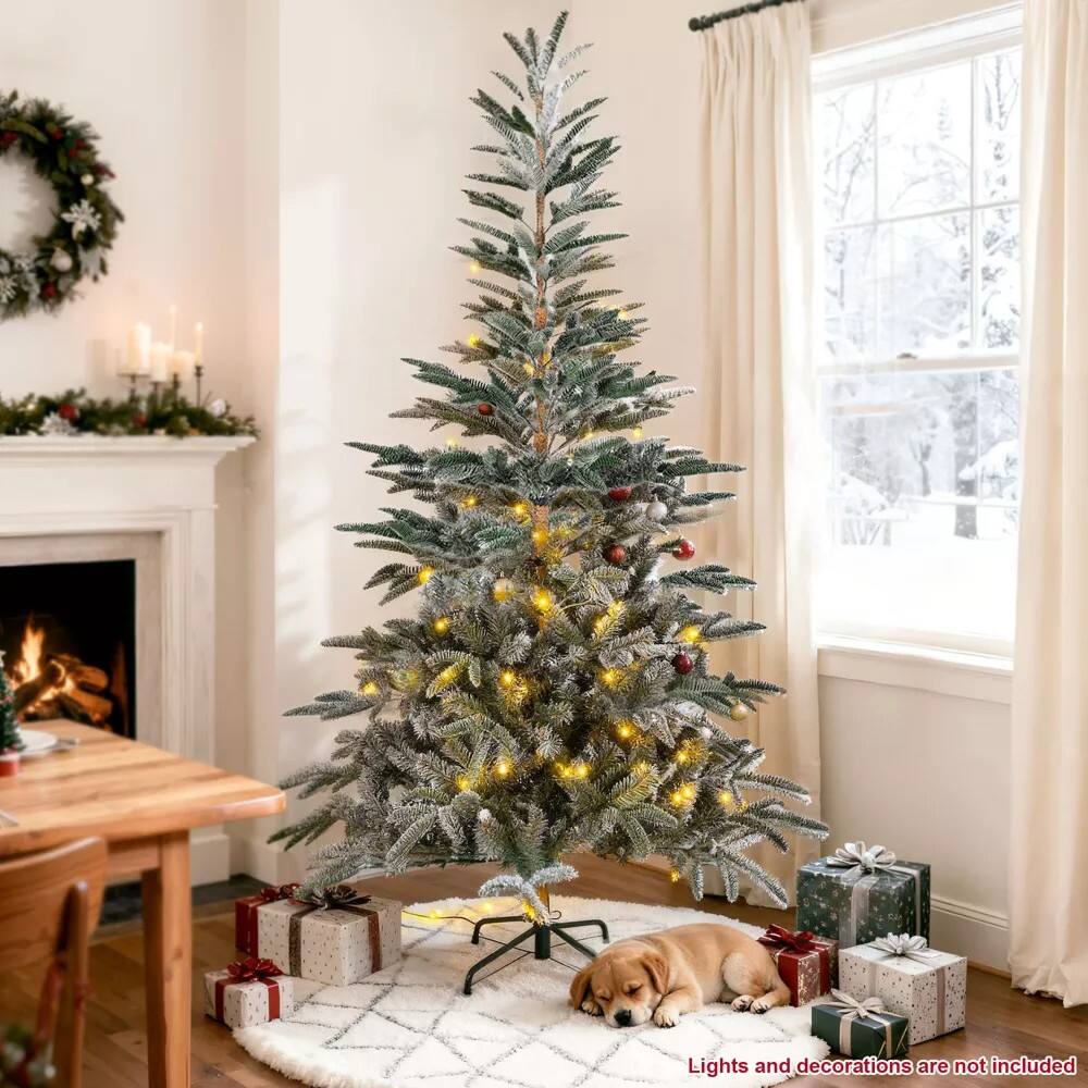 Lights and decorations are not included