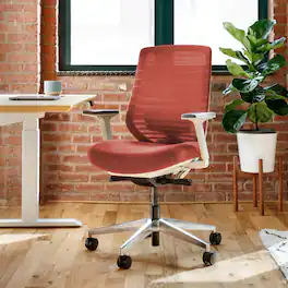 Branch Furniture - Branch Ergonomic Chair – Adjustable Office Chair for All-Day Comfort with Lumbar Support and Recycled Mesh Back - Poppy