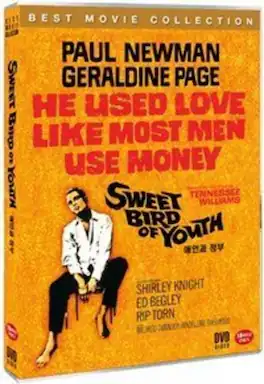 Sweet Bird of Youth - DVD
