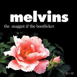 Melvins - Maggot & The Bootlicker - VINYL LP