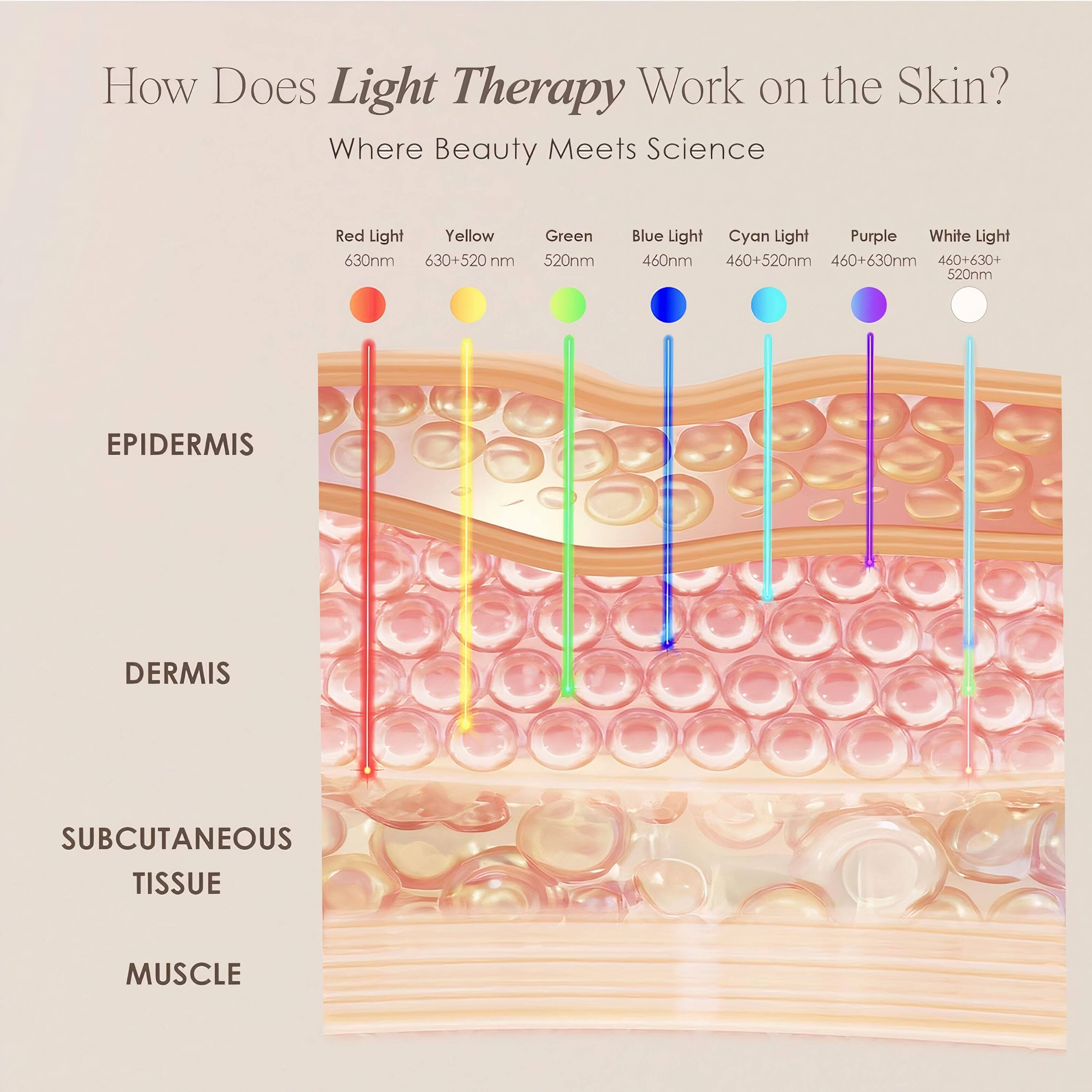 How Does Light Therapy Work on the Skin?  
Where Beauty Meets Science  

Red Light: 630nm  
Yellow: 630+520 nm  
Green: 520nm  
Blue Light: 460nm  
Cyan Light: 460+520nm  
Purple: 460+630nm  
White Light: 460+630+520nm  

EPIDERMIS  
DERMIS  
SUBCUTANEOUS TISSUE  
MUSCLE