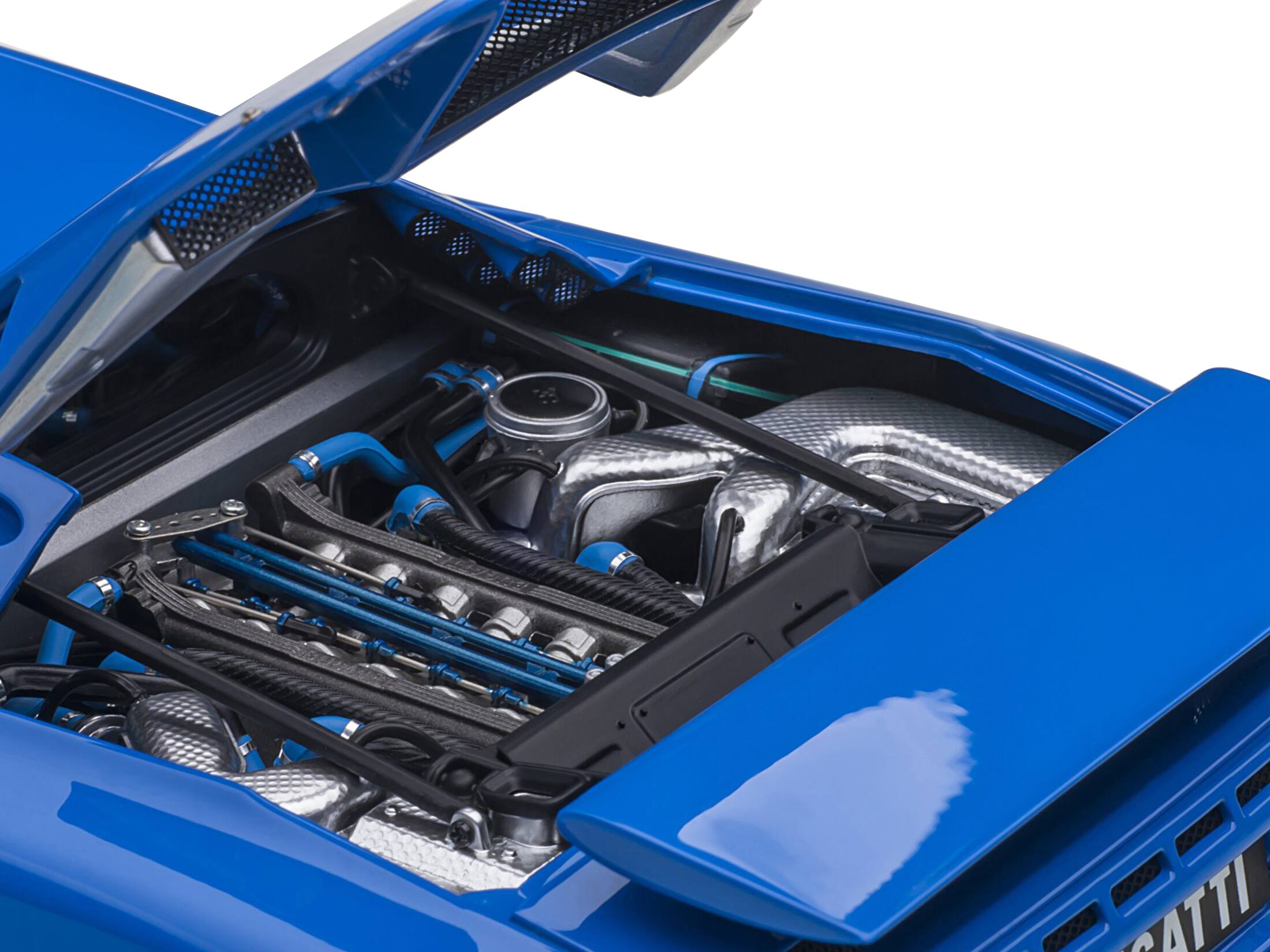 The text on the image reads: "SCATTI"