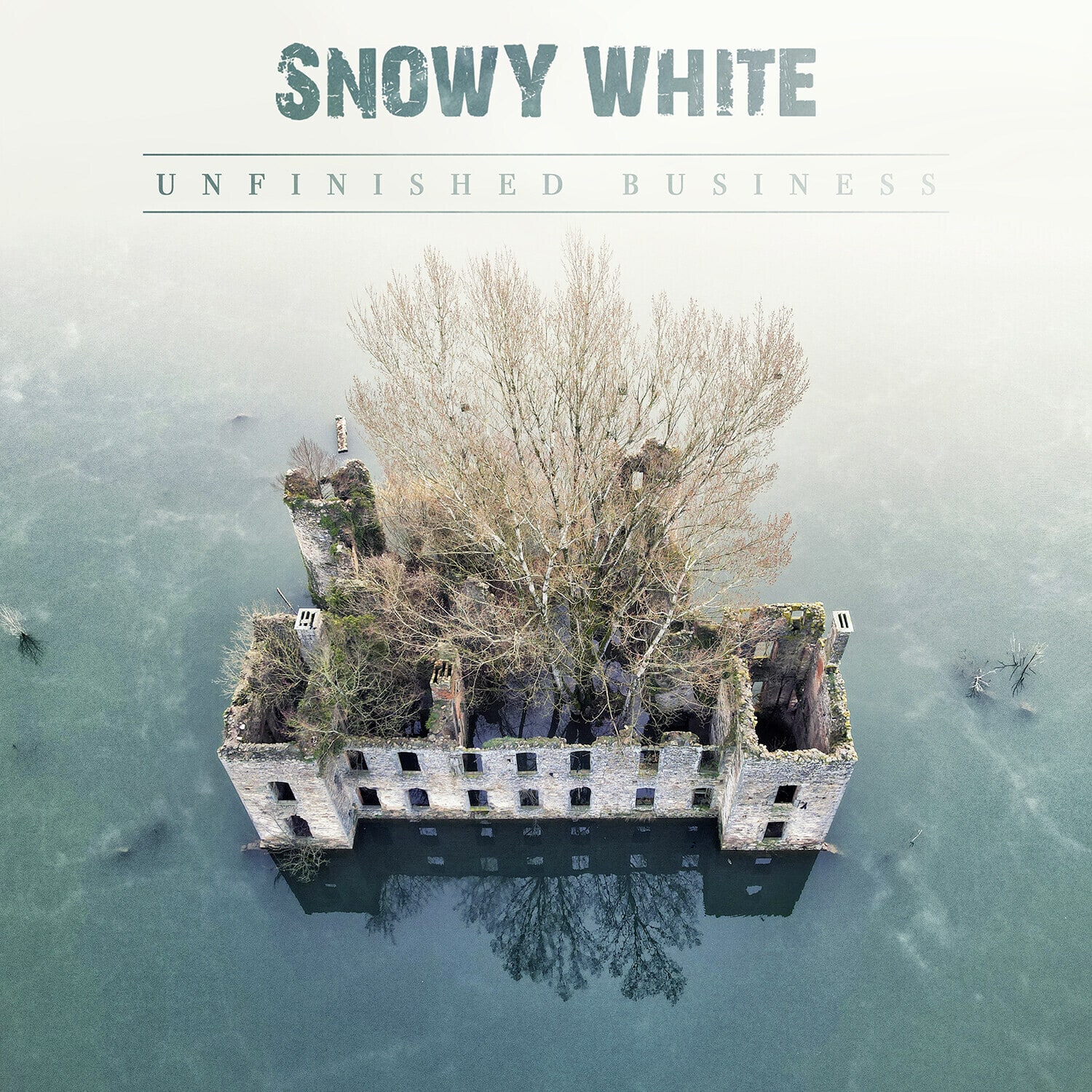 Snowy White - Unfinished Business   - COMPACT DISCS [CD] price history on PriceWatchPro
