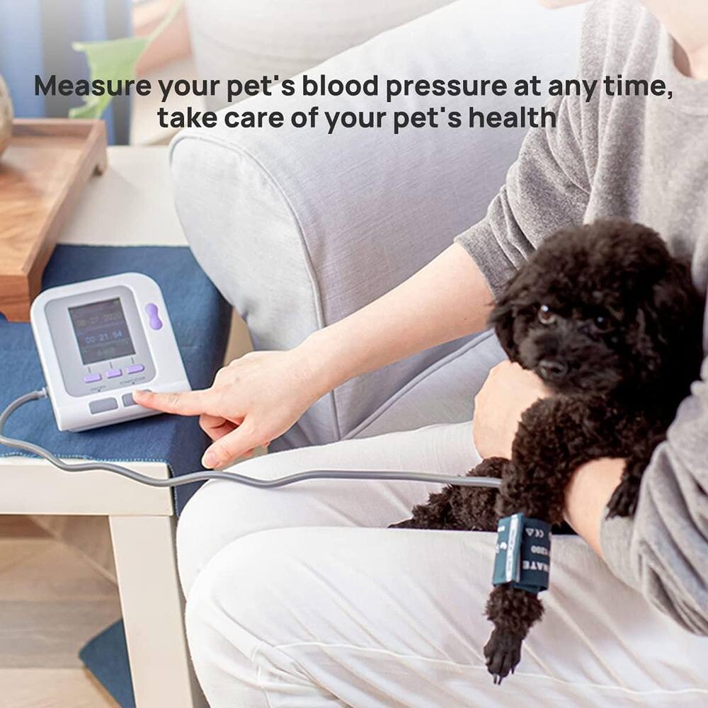 Measure your pet's blood pressure at any time, take care of your pet's health