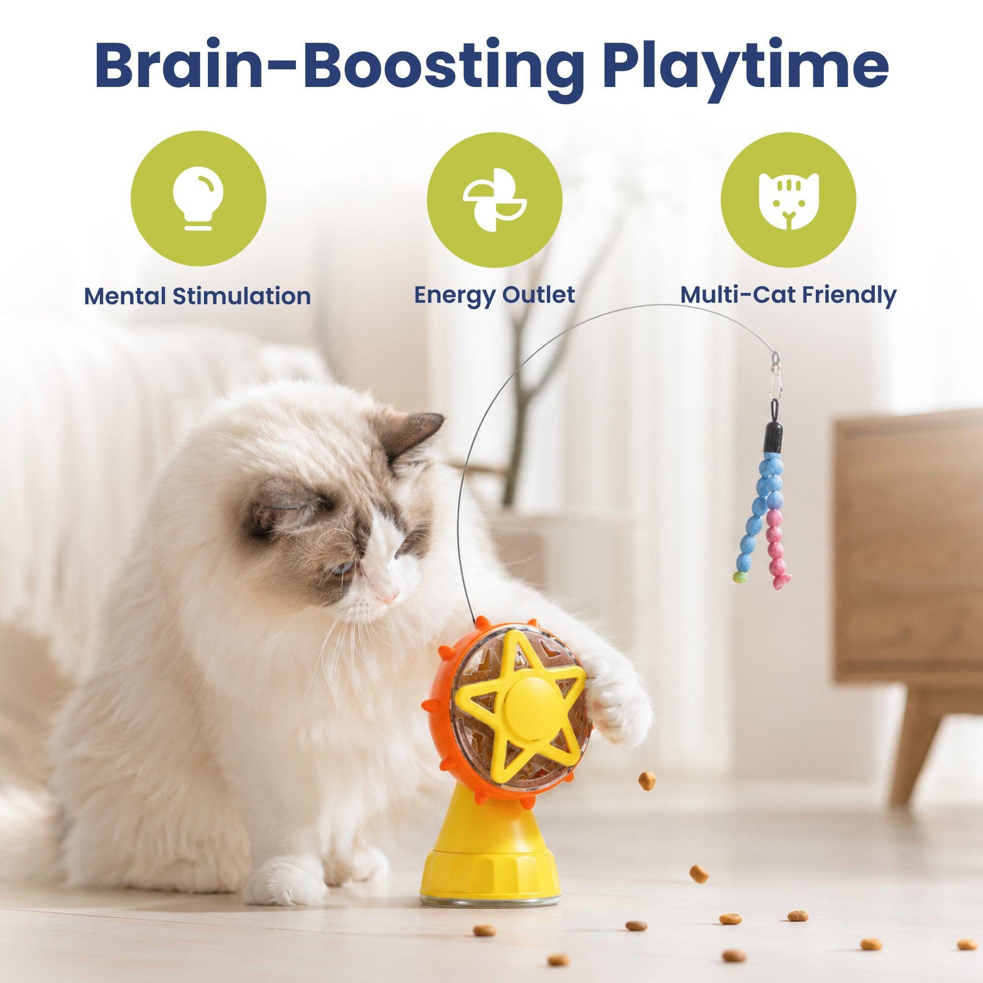 Brain-Boosting Playtime
Mental Stimulation
Energy Outlet
Multi-Cat Friendly