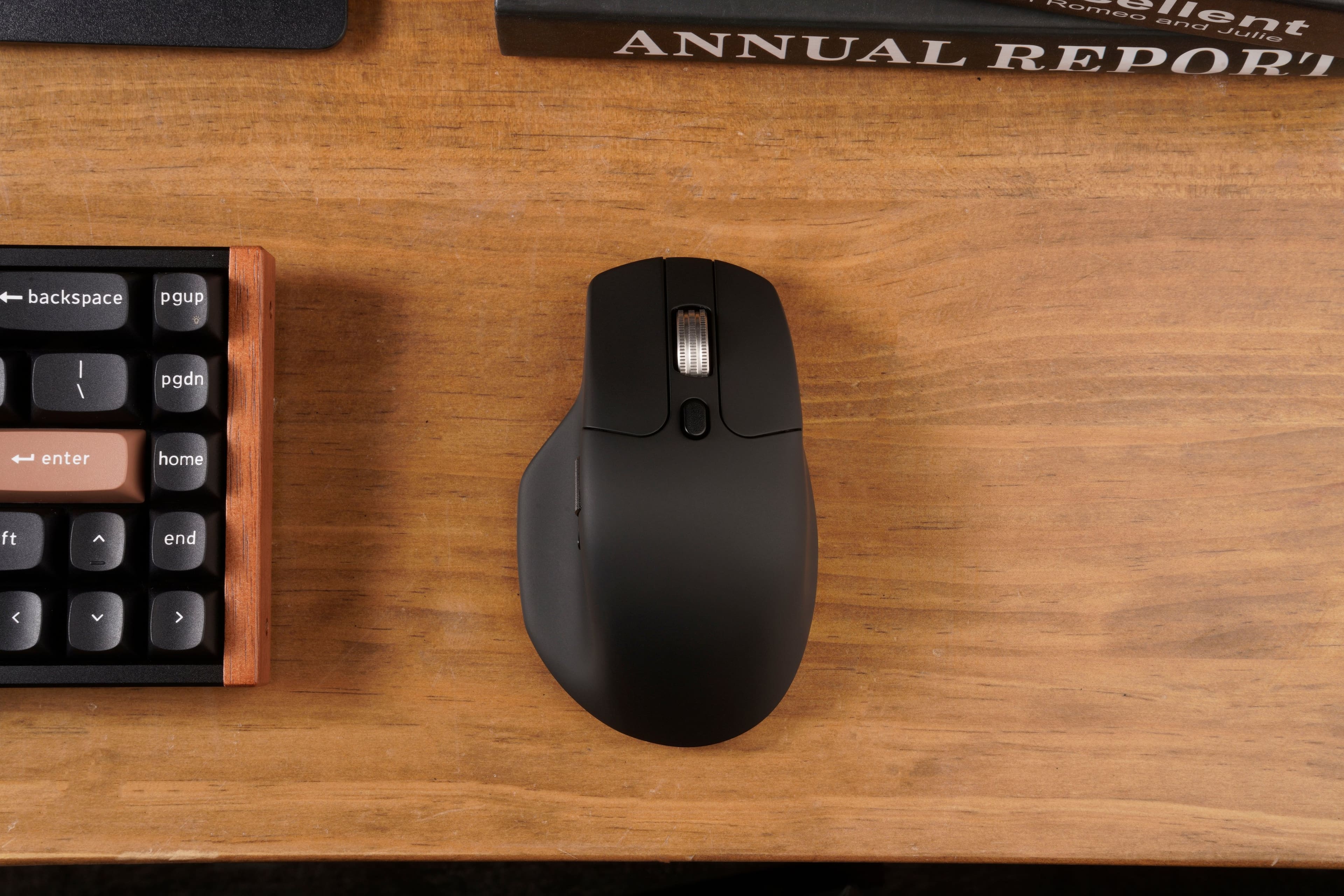 Romeo and Juliet
ANNUAL REPORT