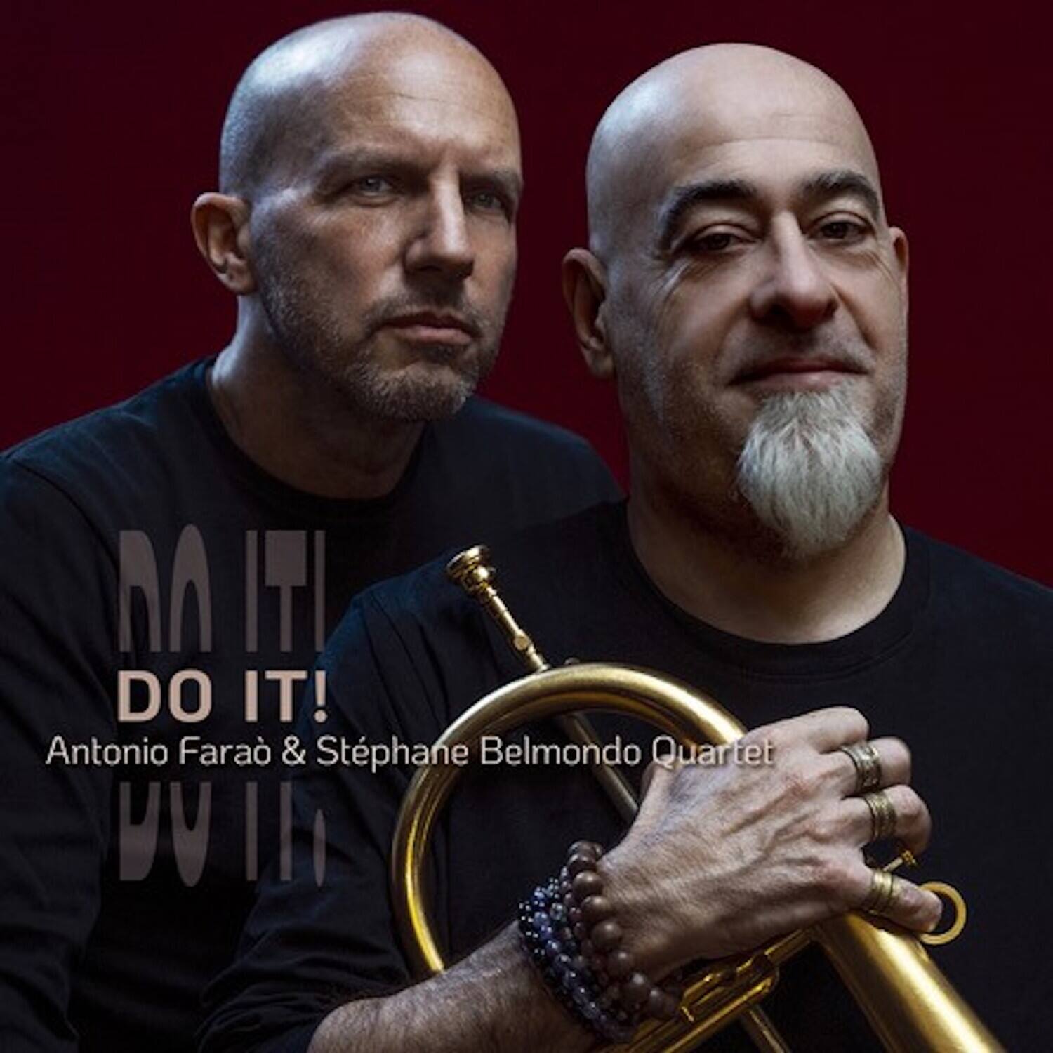 Farao,Antonio / Belmondo,Stephane - Do It!   - COMPACT DISCS [CD] price history on PriceWatchPro