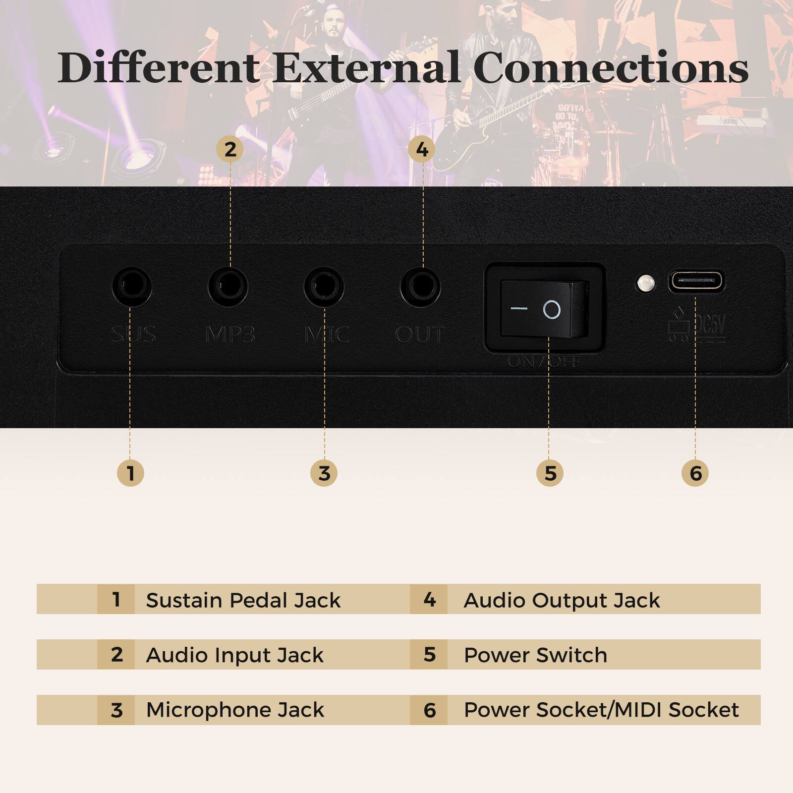 Different External Connections

1. Sustain Pedal Jack
2. Audio Input Jack
3. Microphone Jack
4. Audio Output Jack
5. Power Switch
6. Power Socket/MIDI Socket