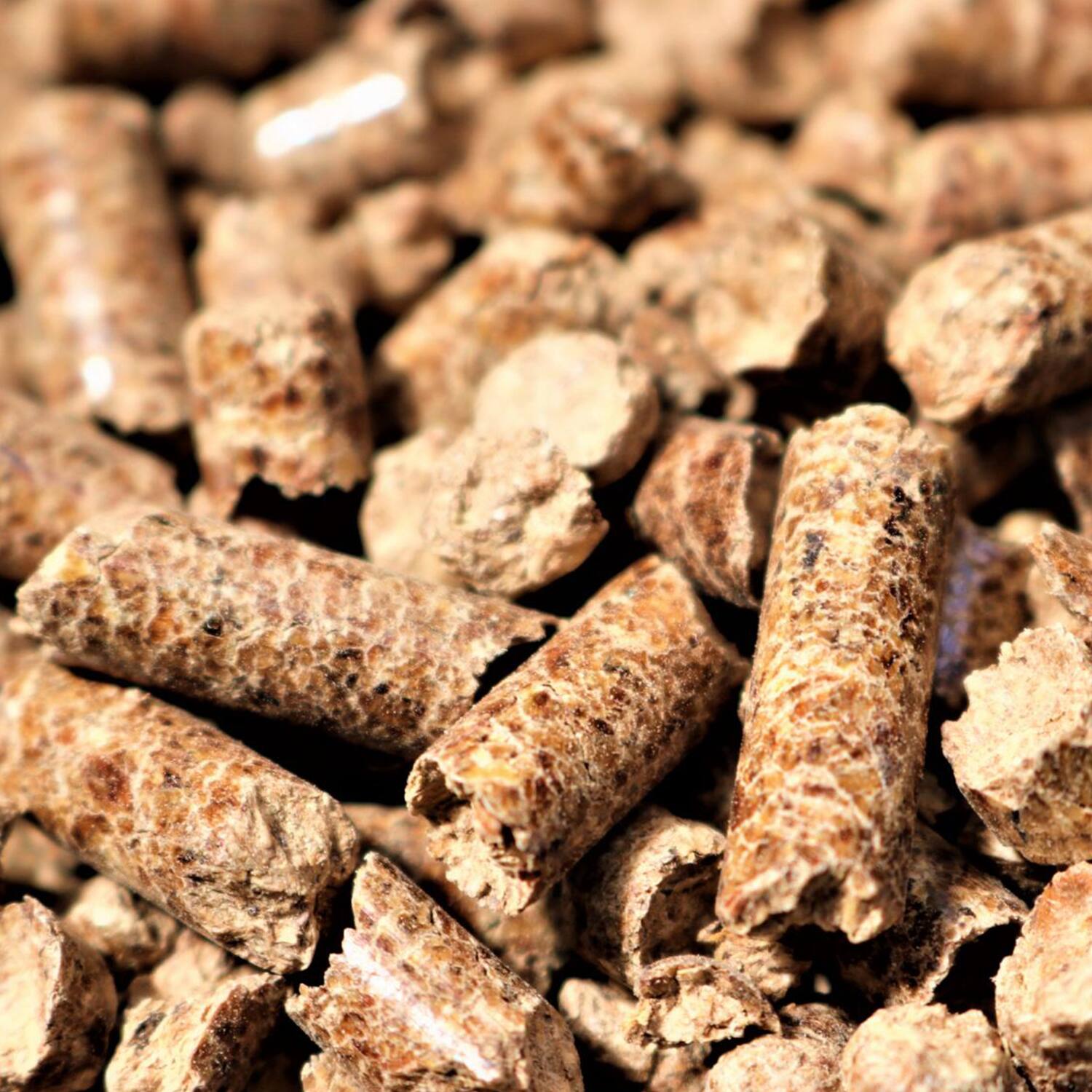 Alt View 2. Bear Mountain BBQ - Bear Mountain BBQ Premium All Natural Hardwood Apple Smoker Pellets, 40 Pounds.