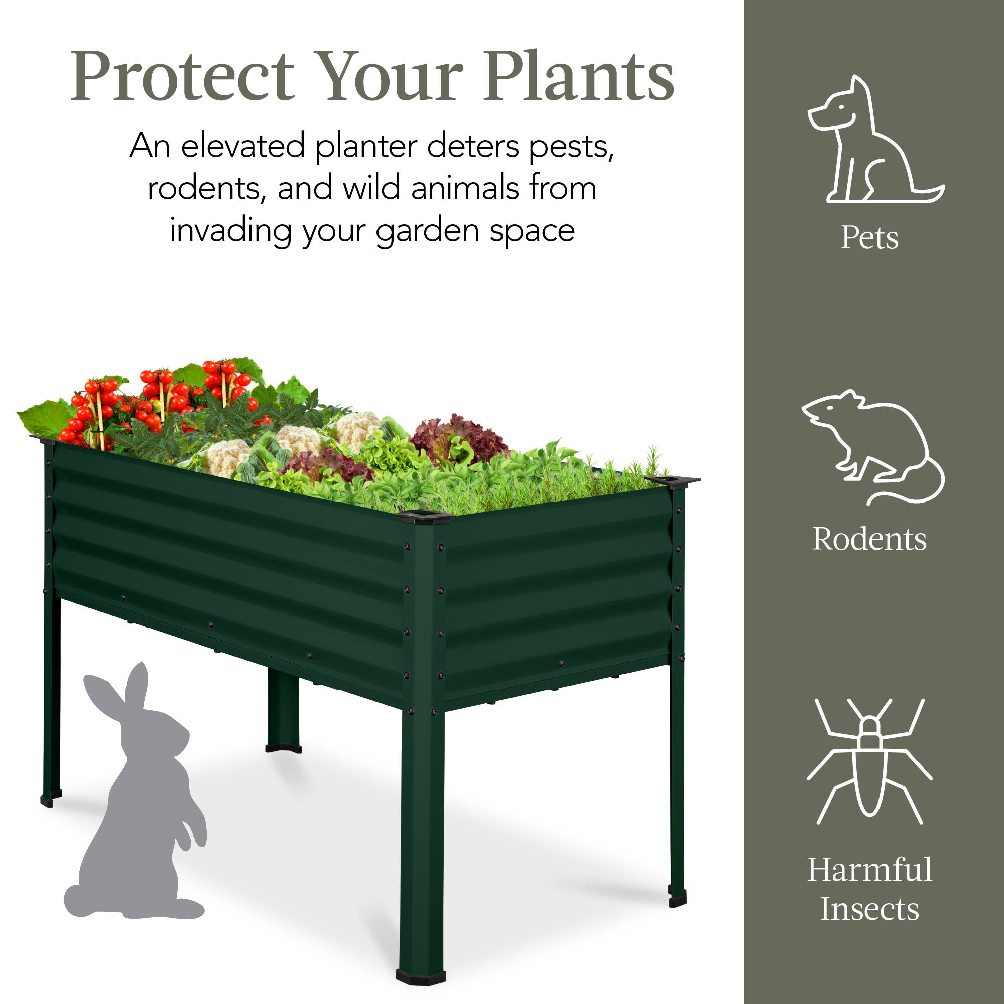 Protect Your Plants

An elevated planter deters pests, rodents, and wild animals from invading your garden space

Pets  
Rodents  
Harmful Insects