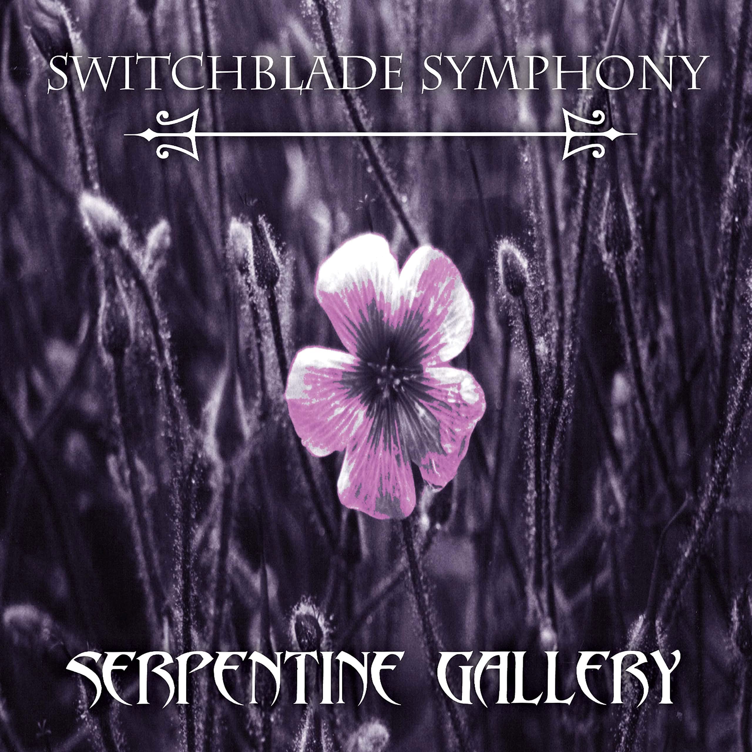 Serpentine Gallery [12 inch Vinyl Single]