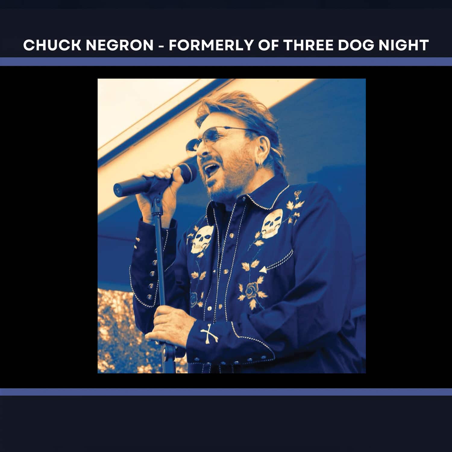 Chuck Negron - Chuck Negron's Greatest Hits - Formerly of Three Dog Night   - COMPACT DISCS [CD] price history on PriceWatchPro