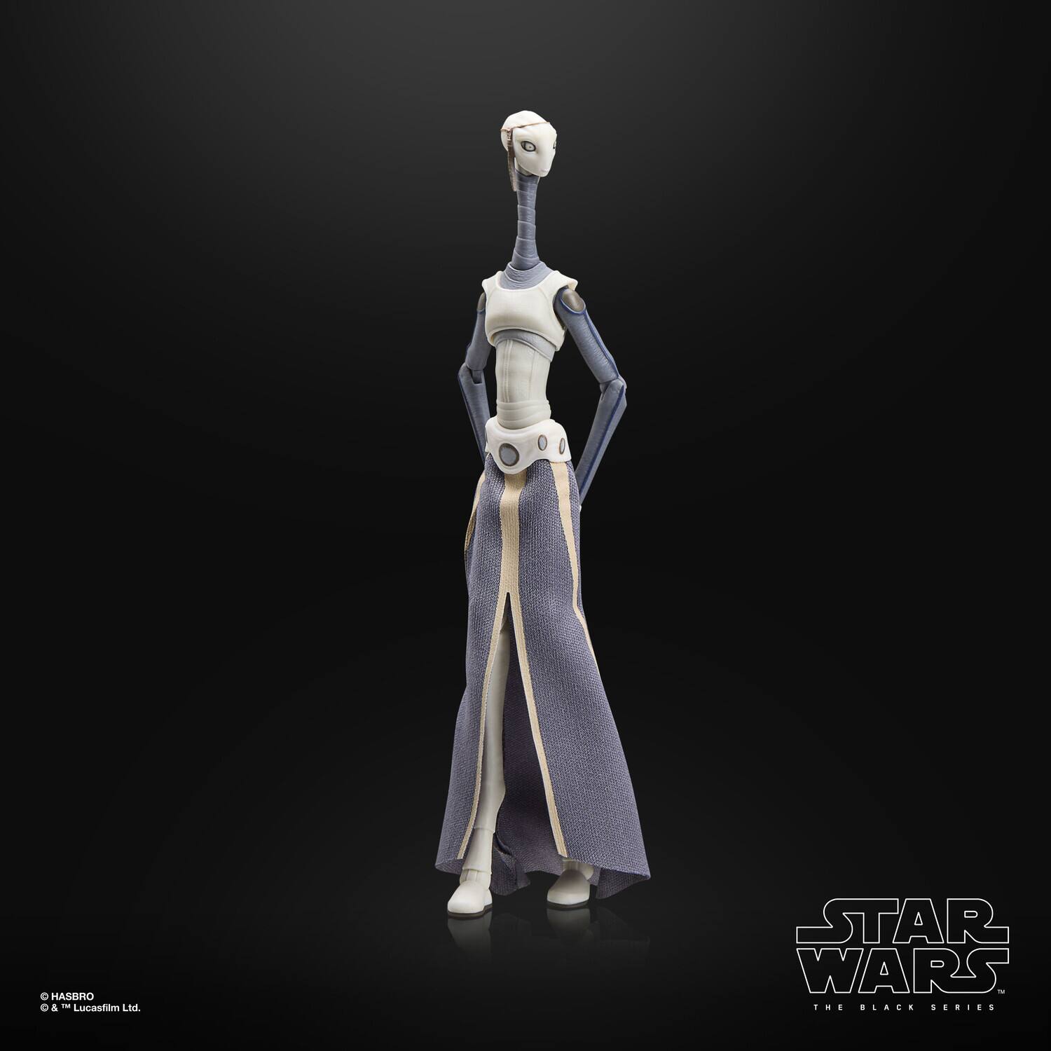 © HASBRO  
& ™ Lucasfilm Ltd.  

STAR WARS  
THE BLACK SERIES