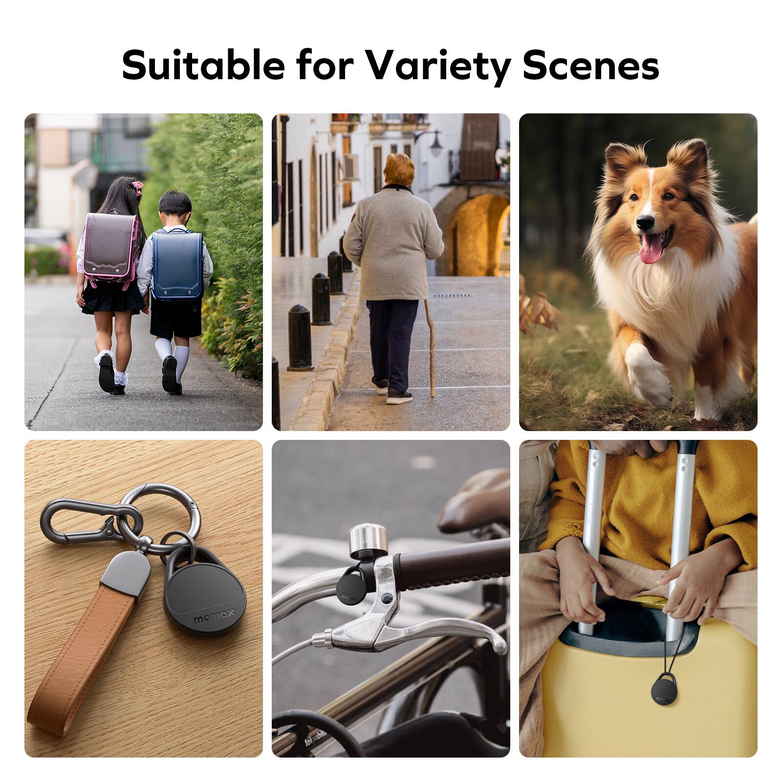 Suitable for Variety Scenes | T E momox