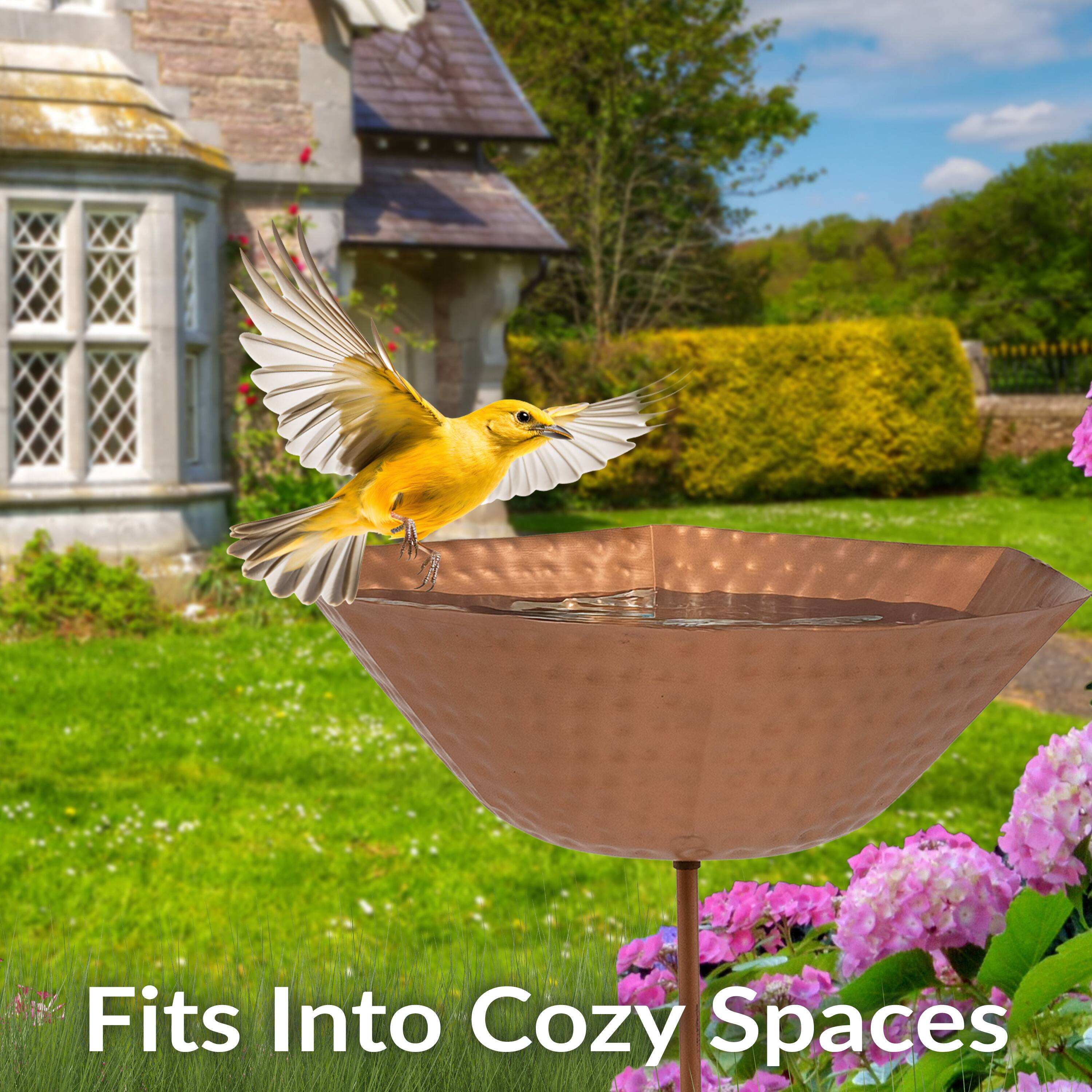 Fits Into Cozy Spaces